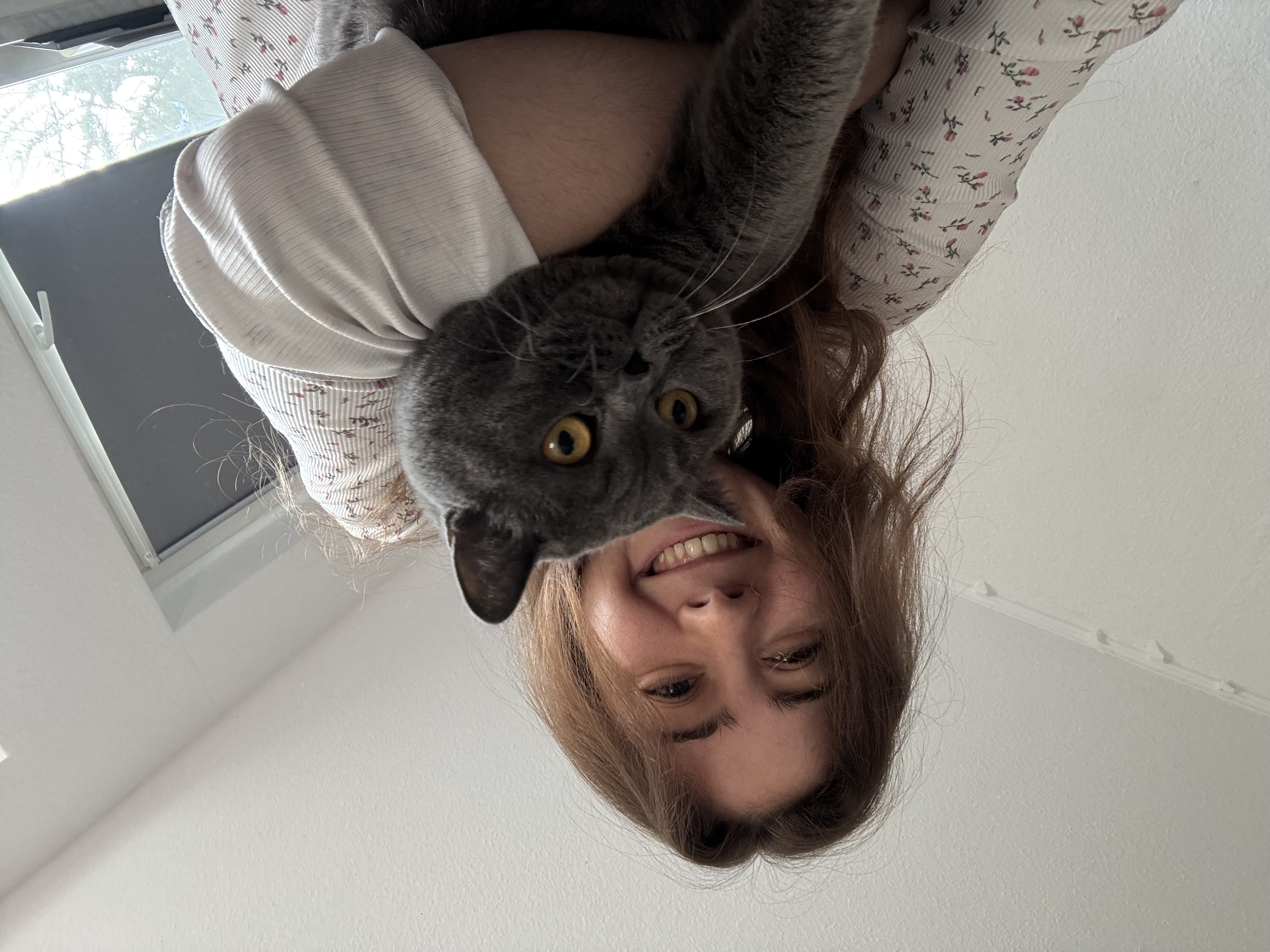 image-8