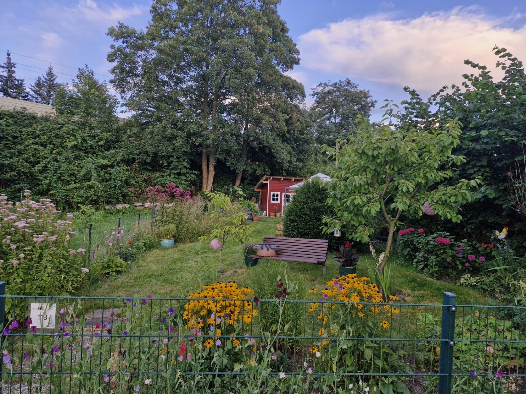 image-15