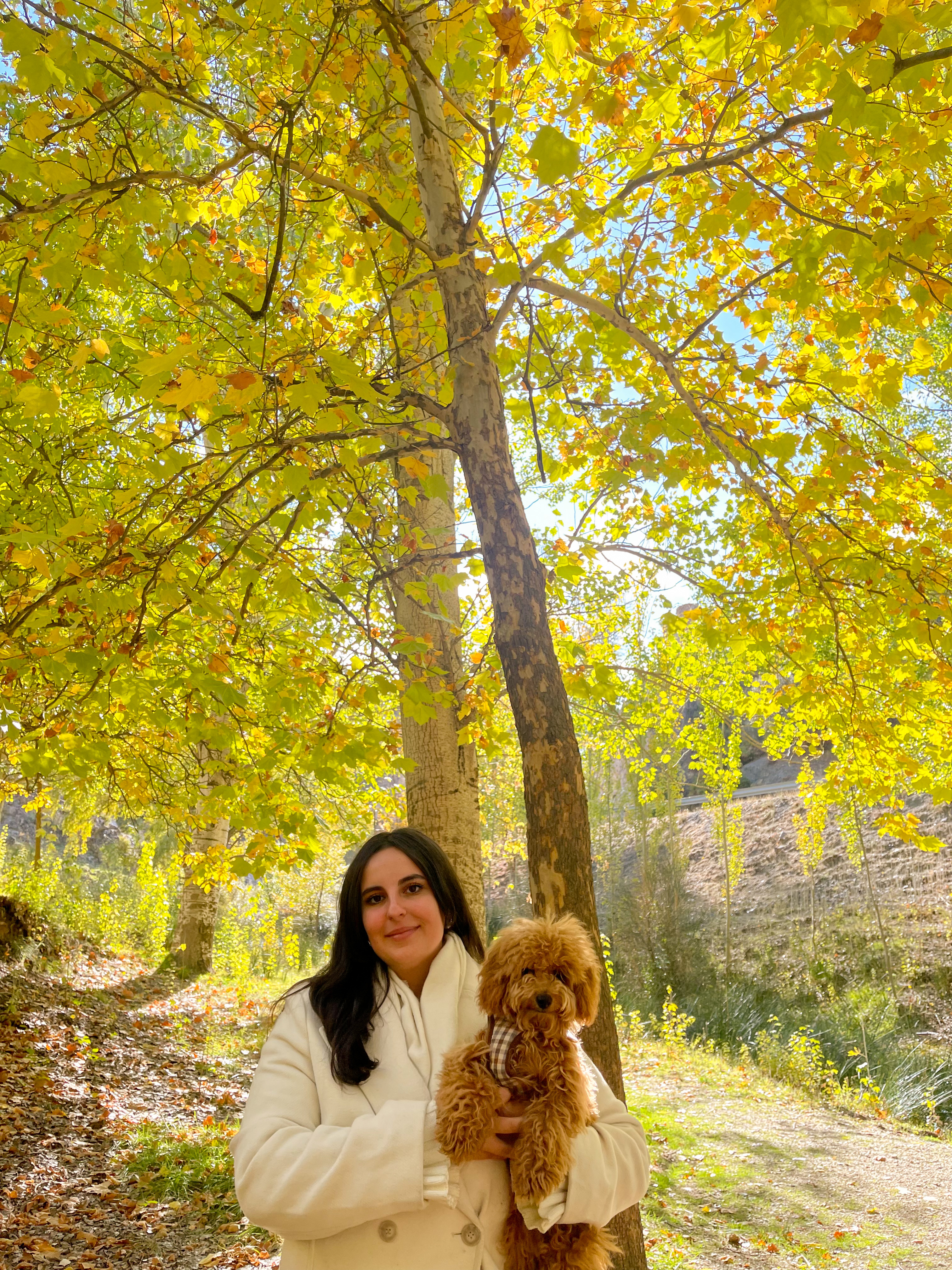 image-4