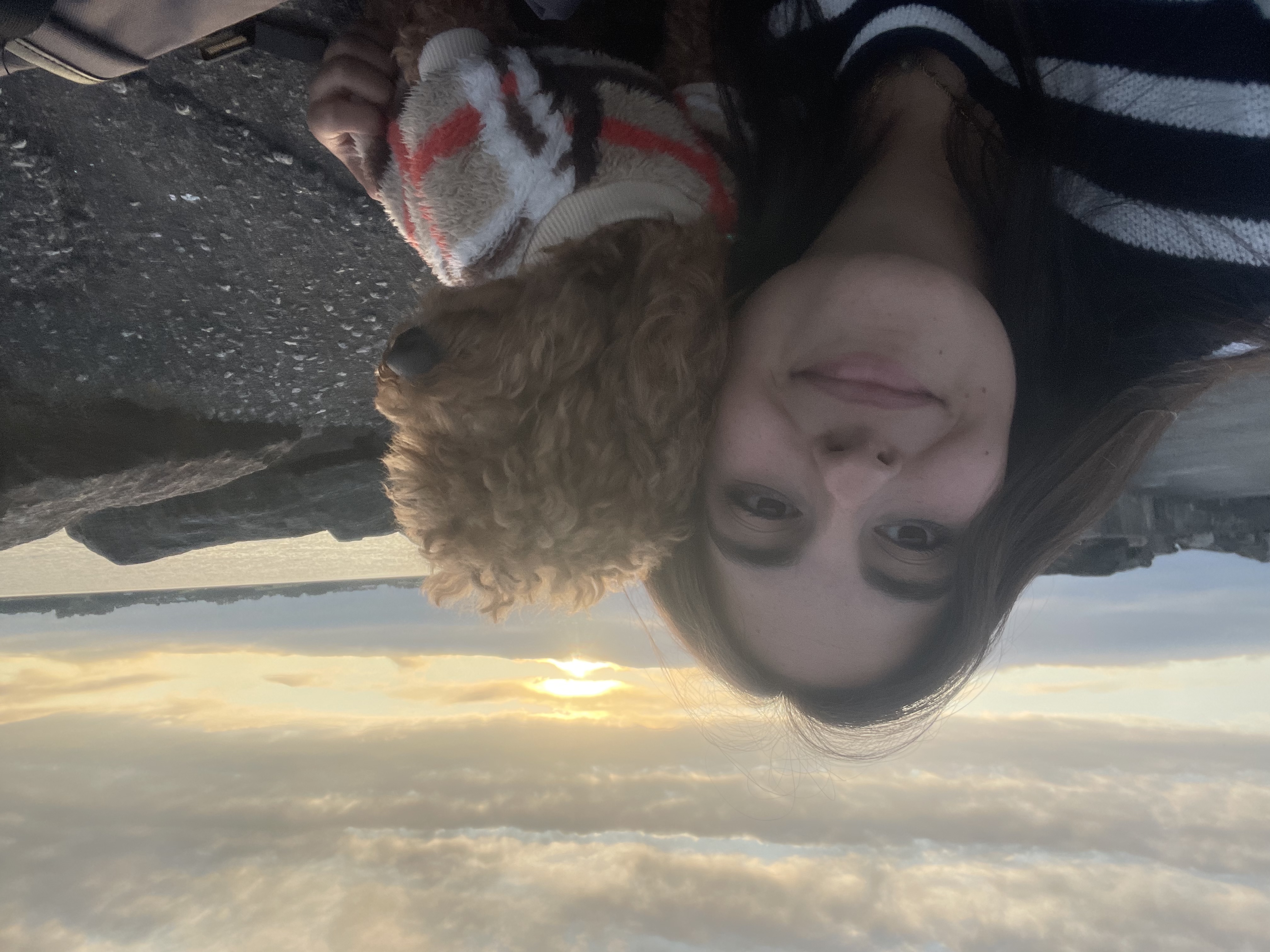 image-10