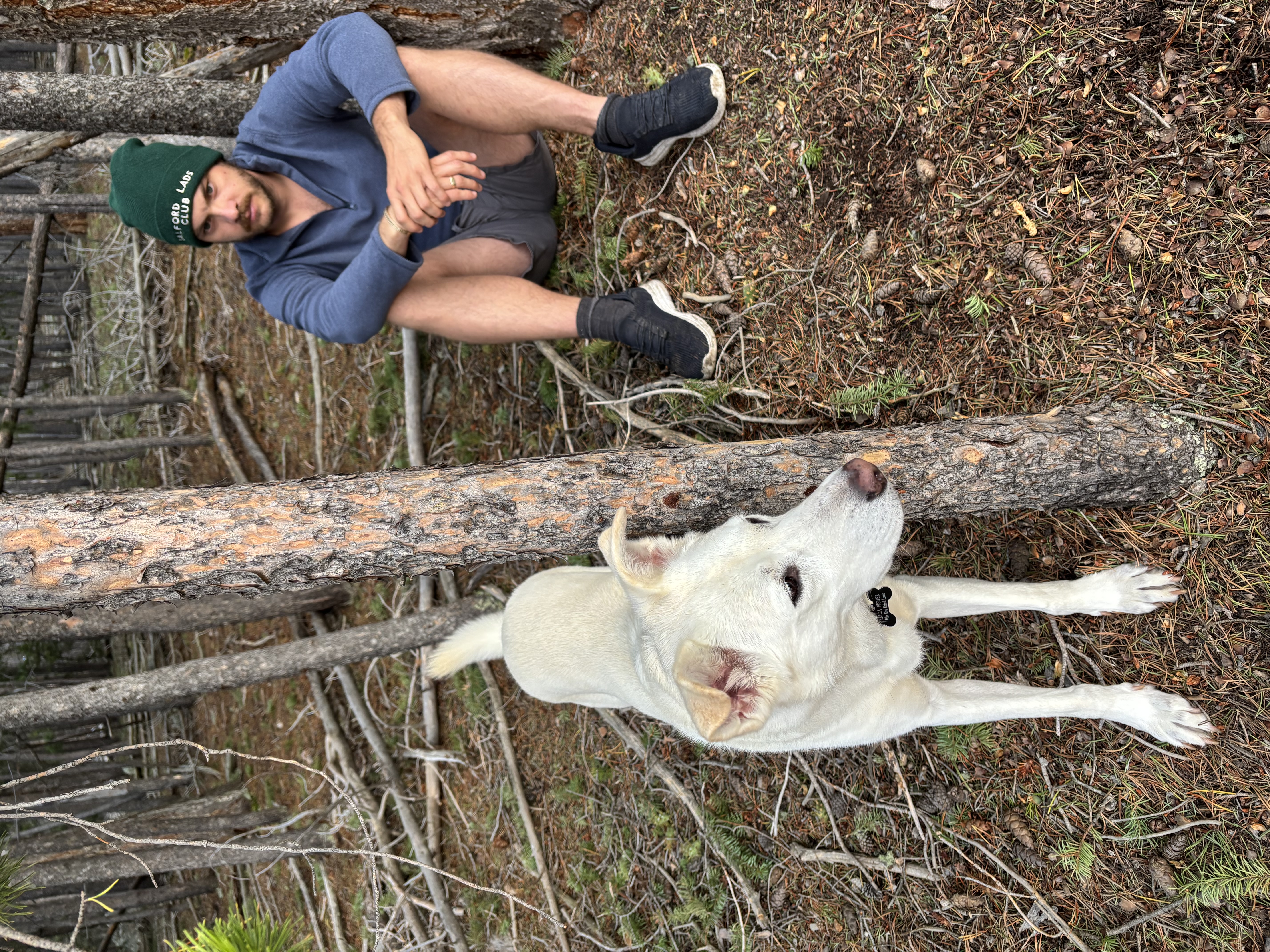 image-6
