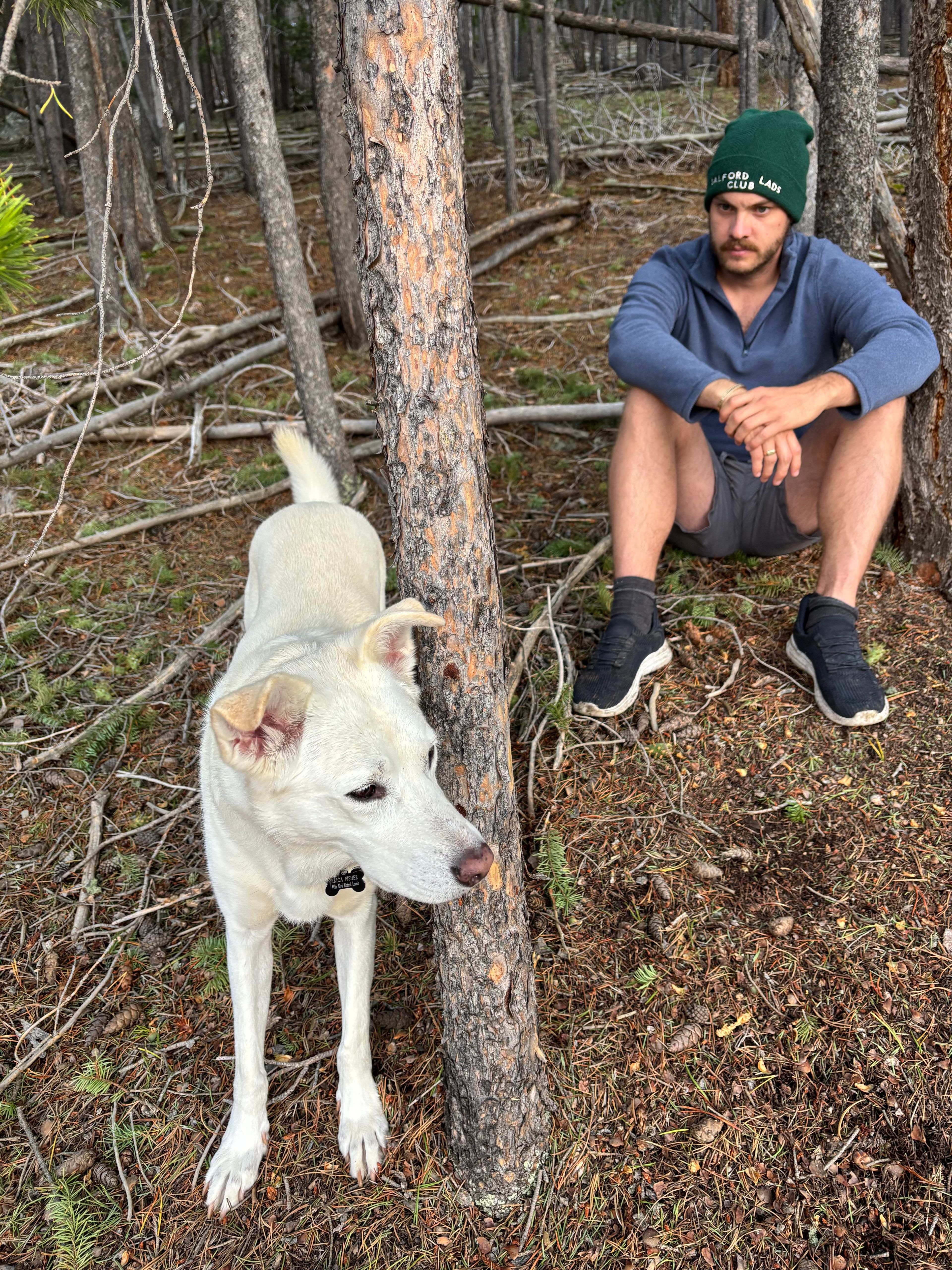image-6