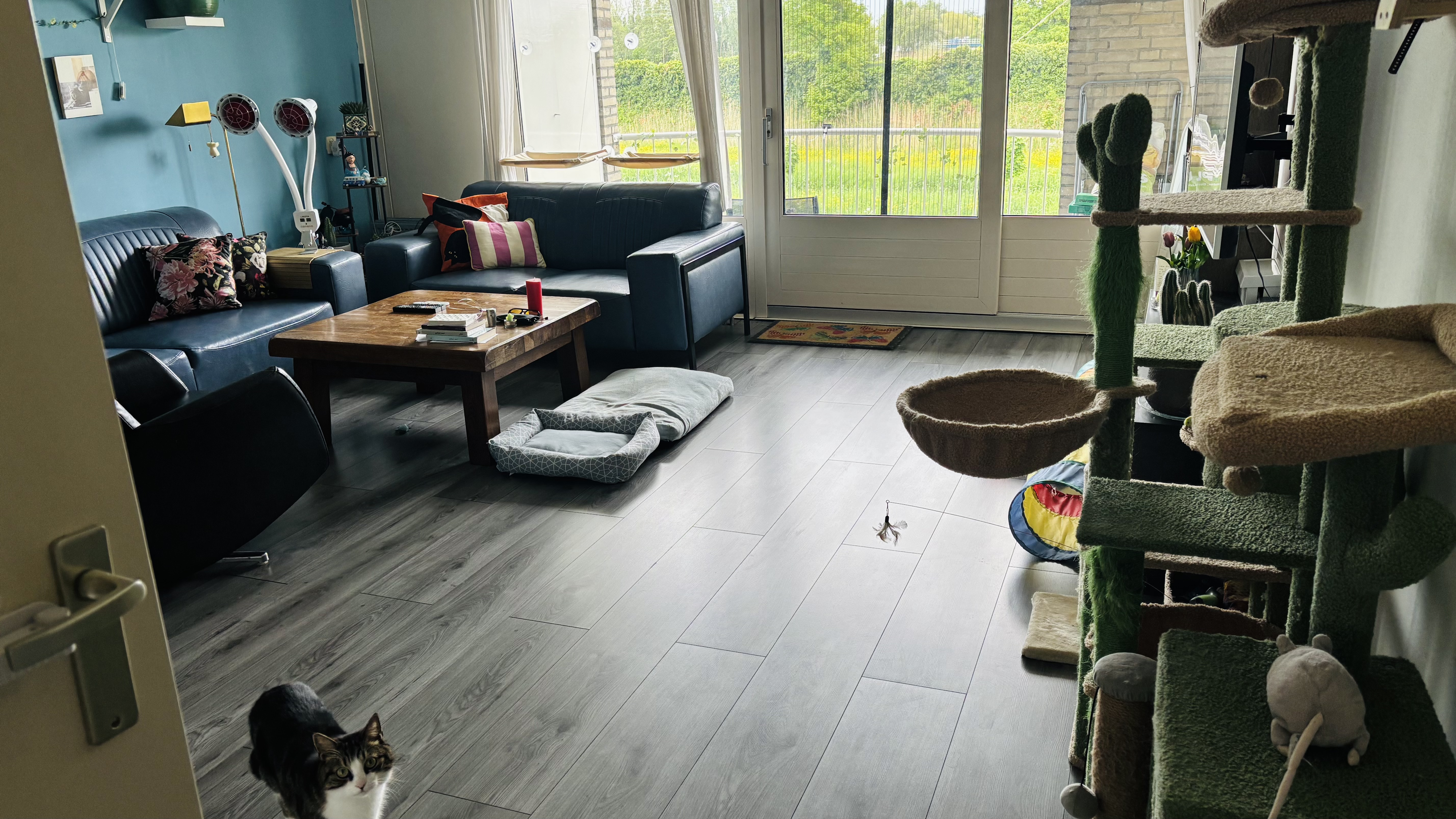 image-16