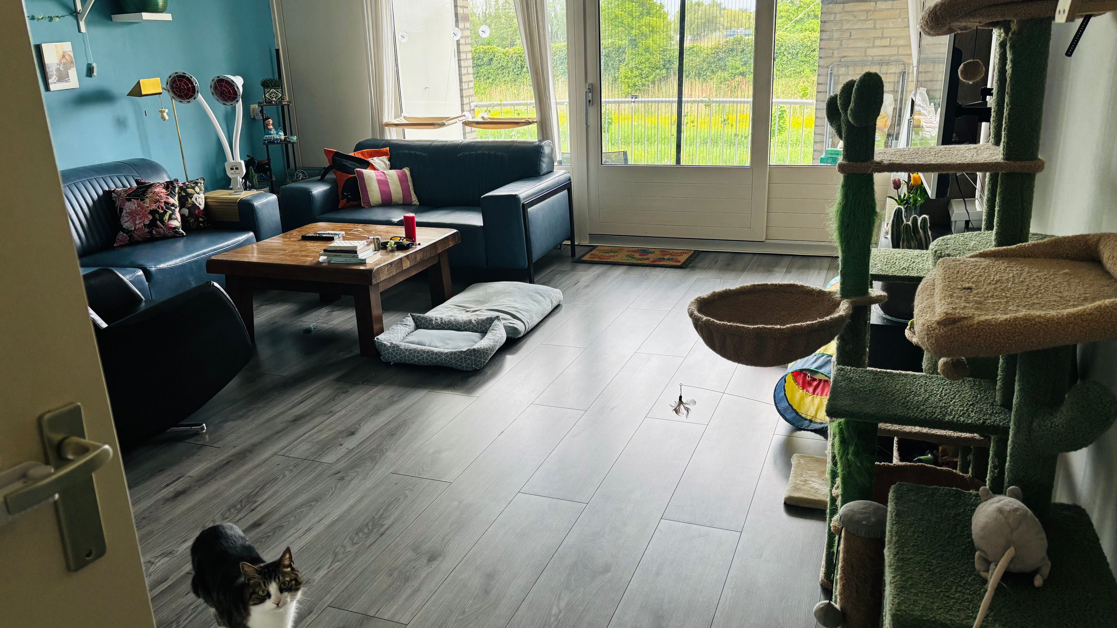 image-16