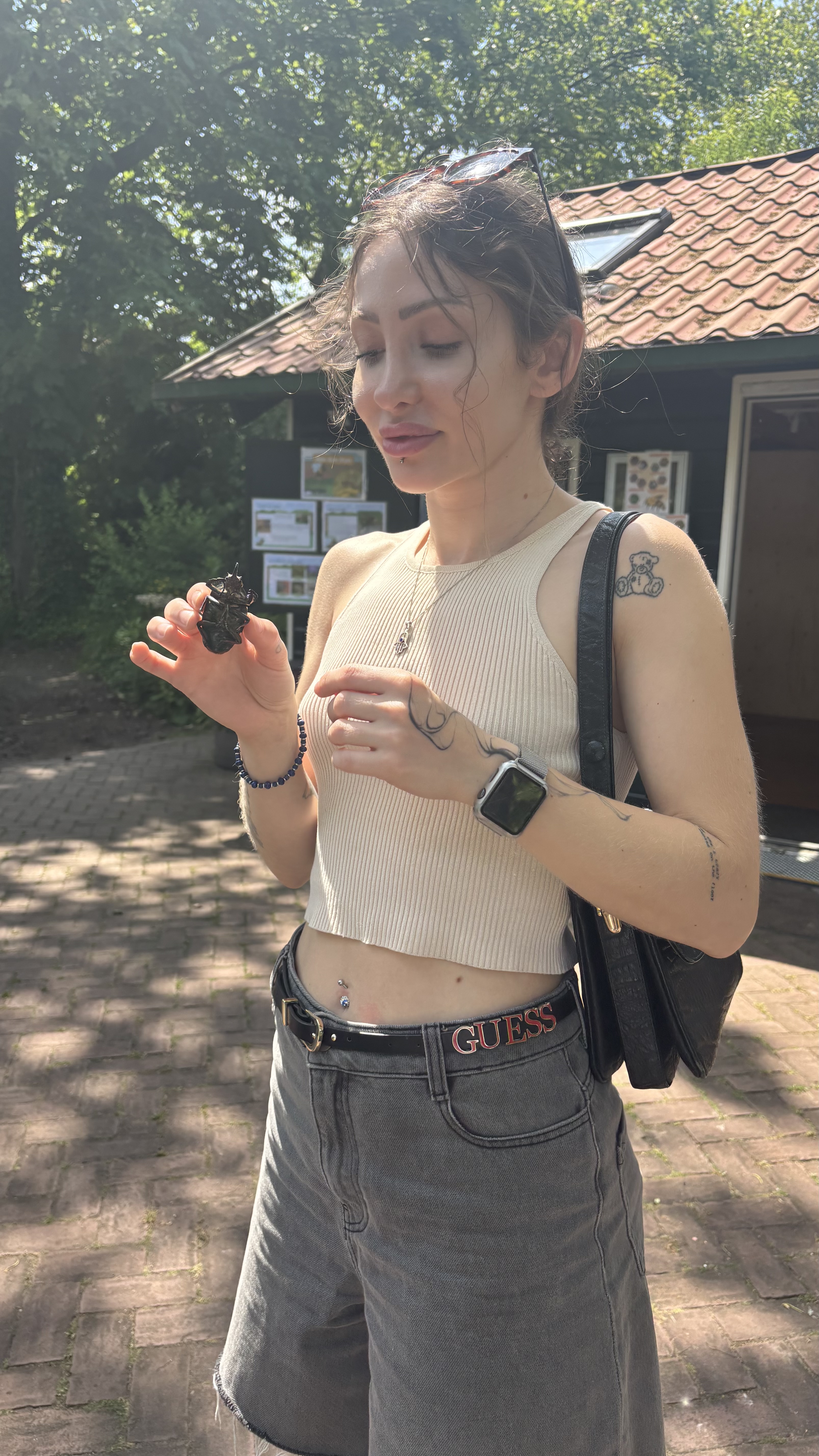 image-8