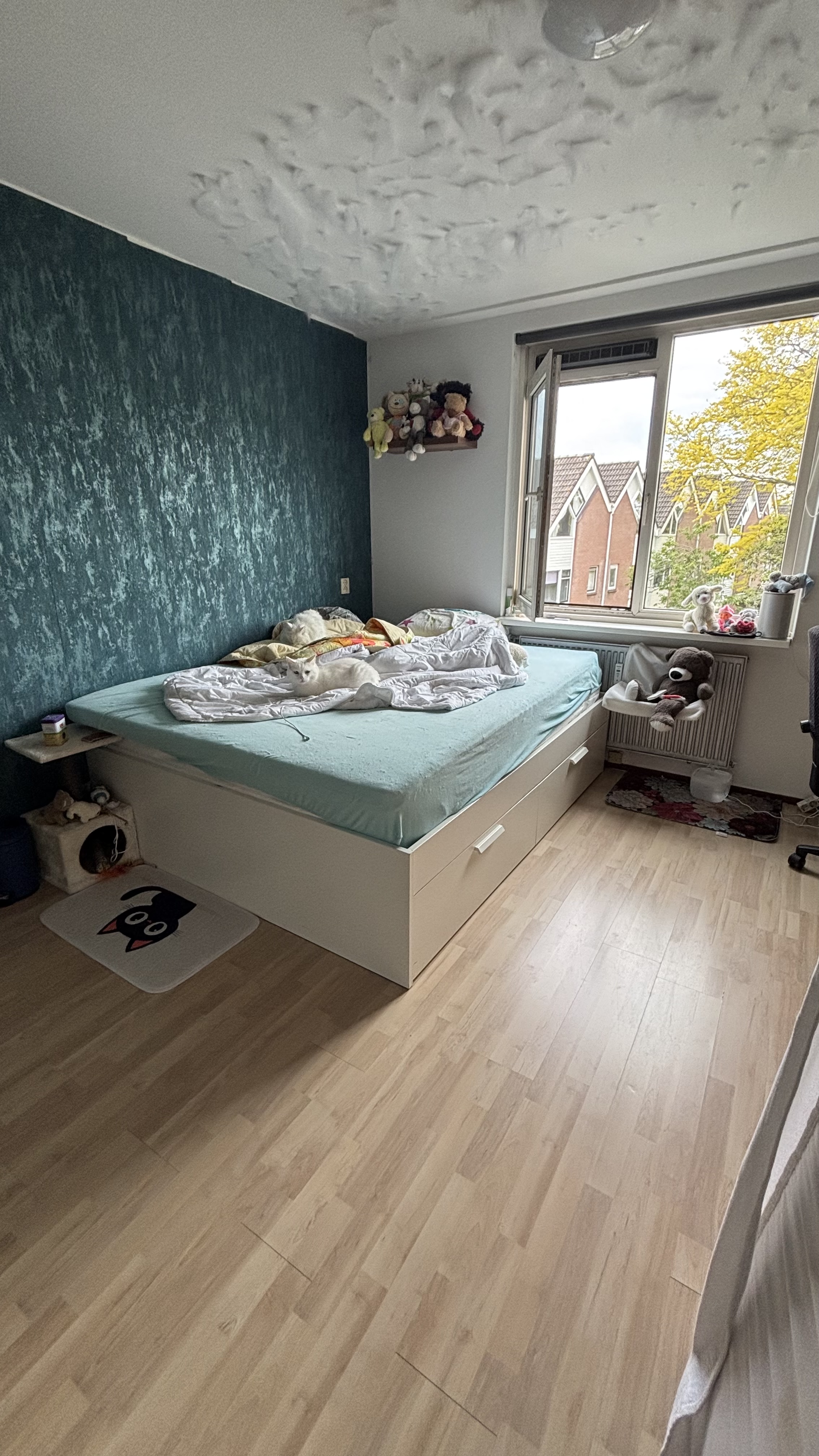 image-20