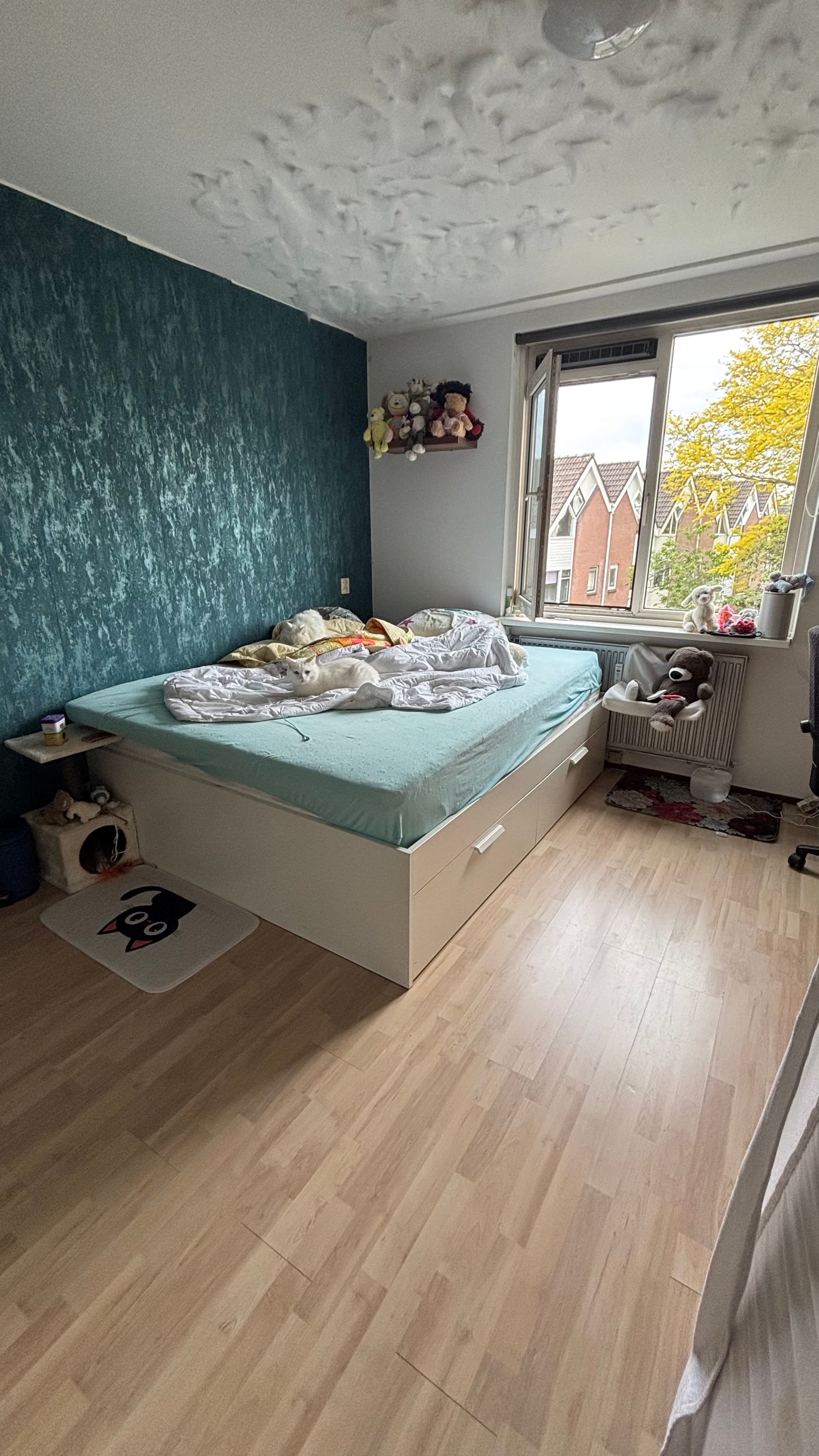 image-20