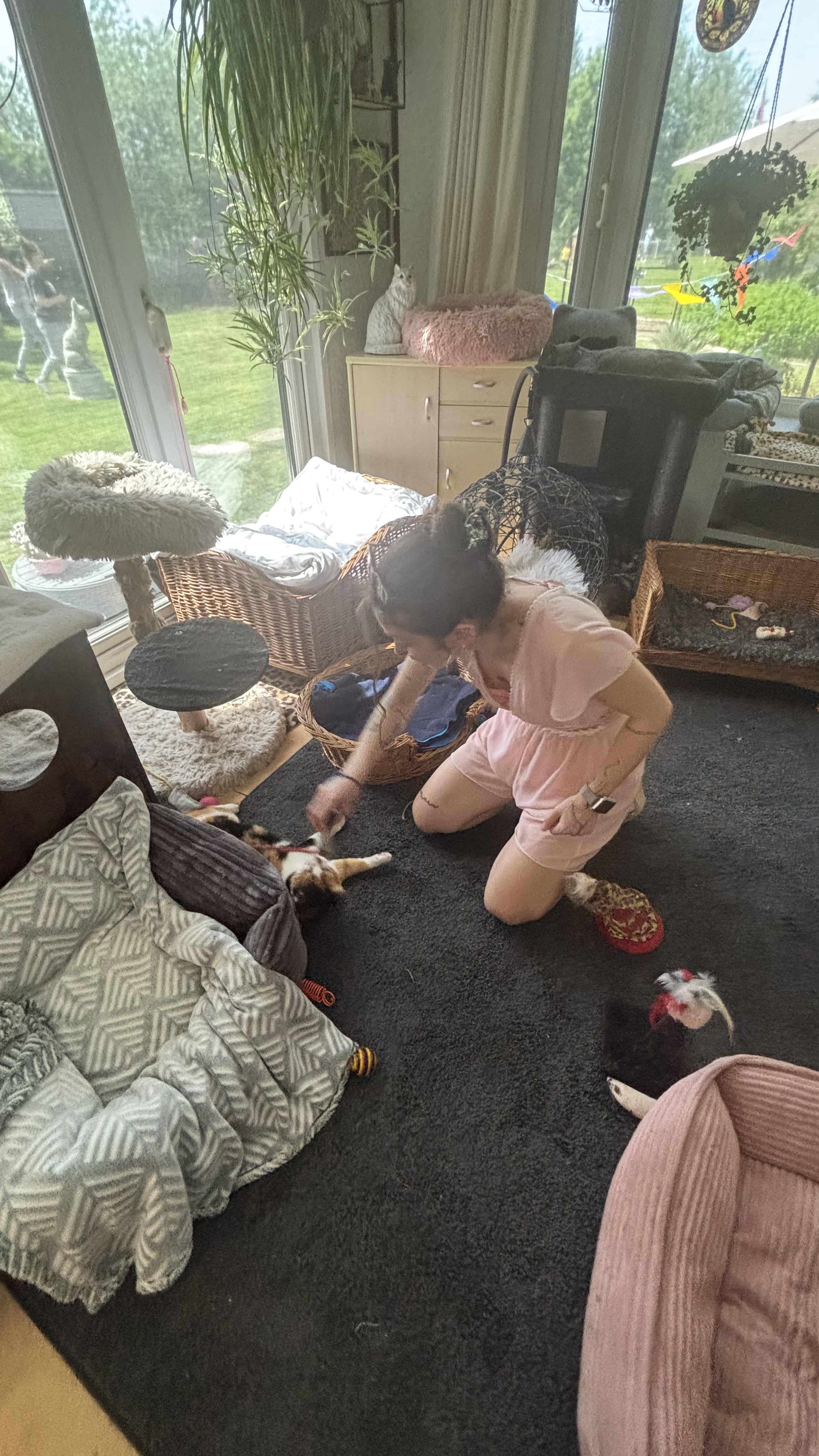 image-11