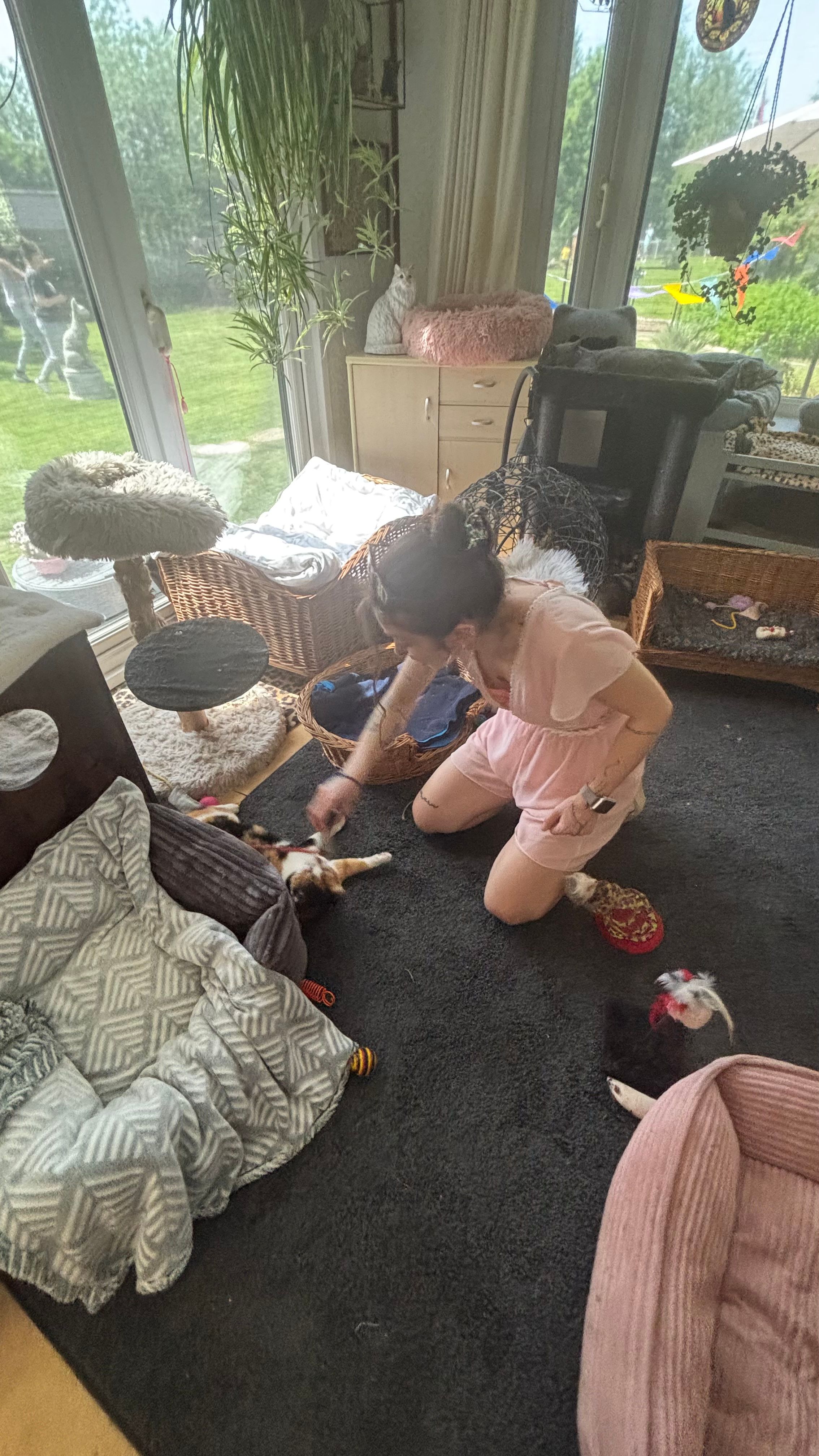 image-11
