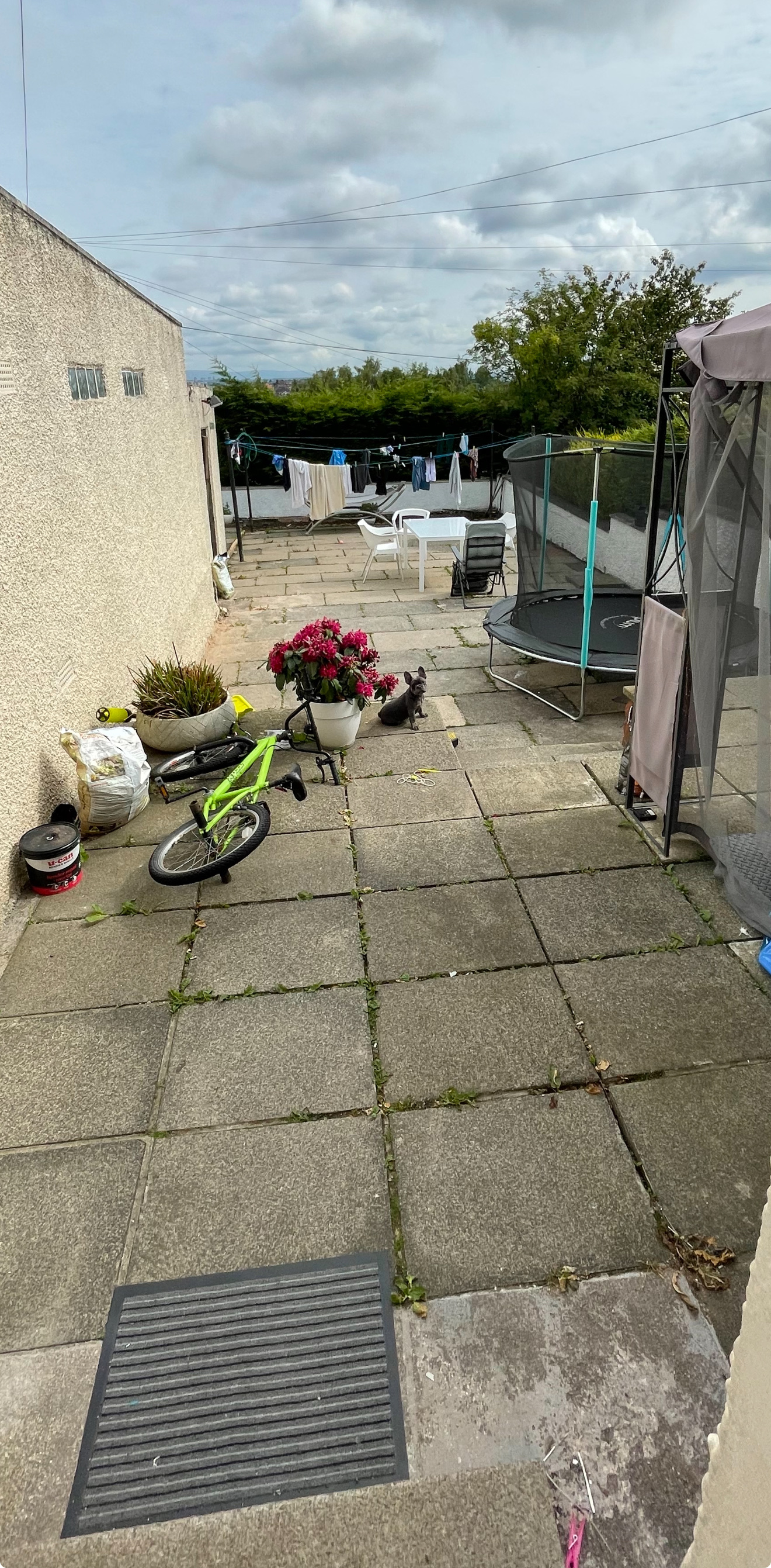 image-18
