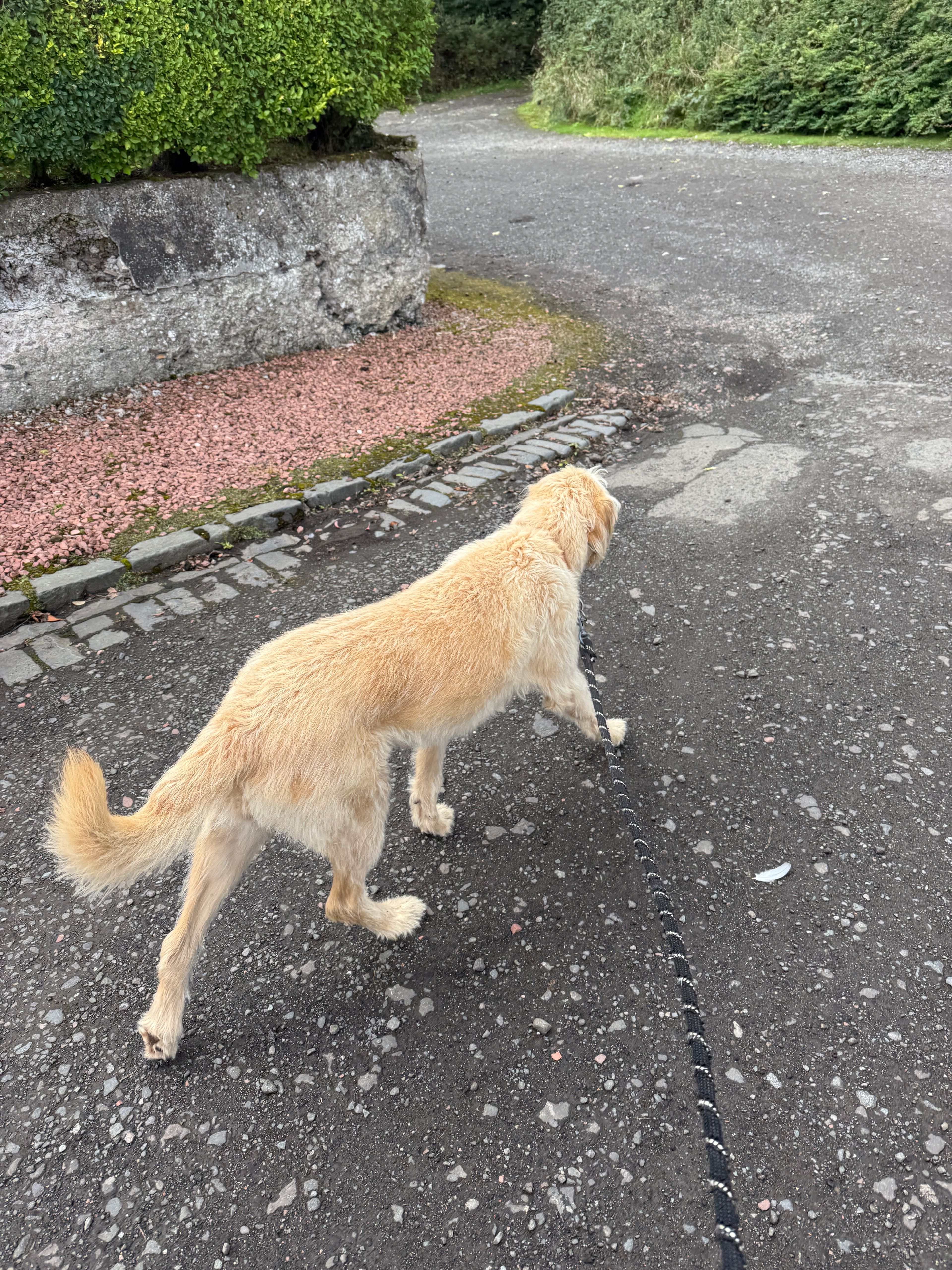 image-14