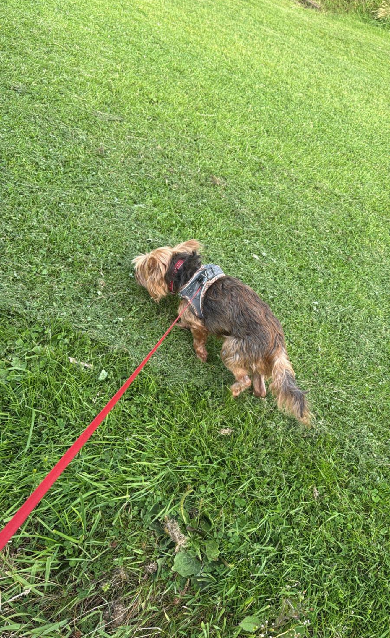 image-13