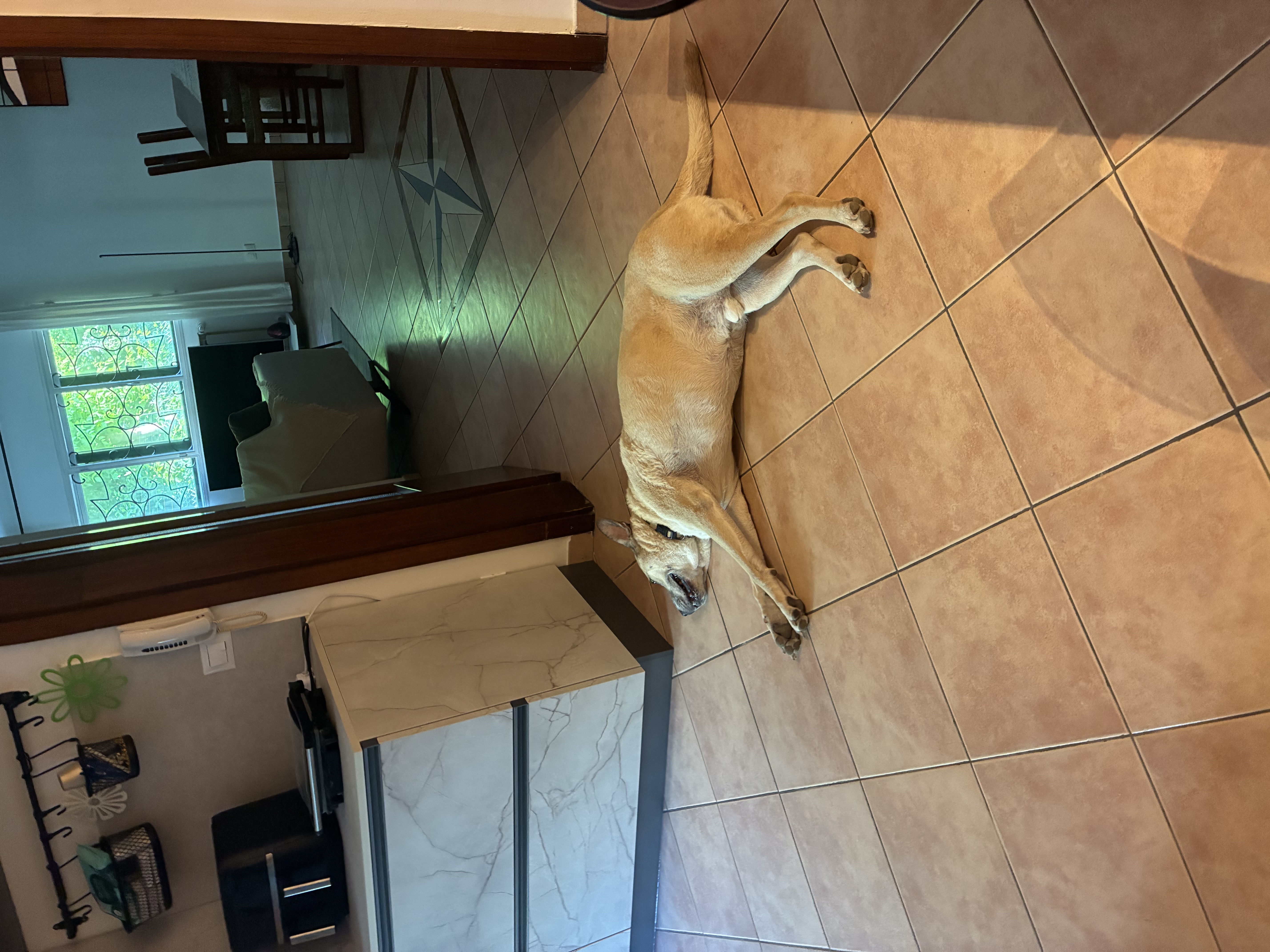 image-10