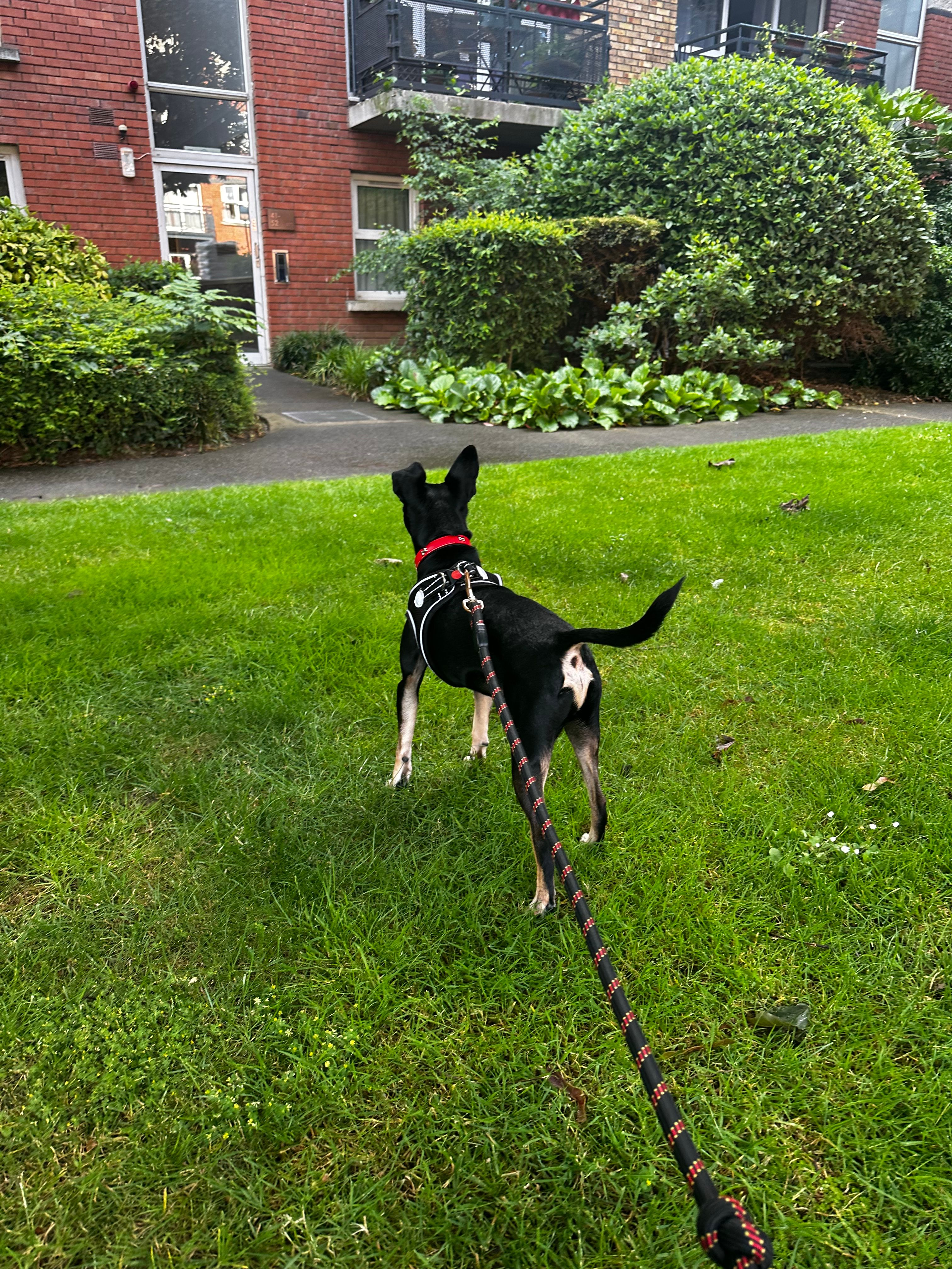 image-32
