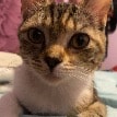 Hera