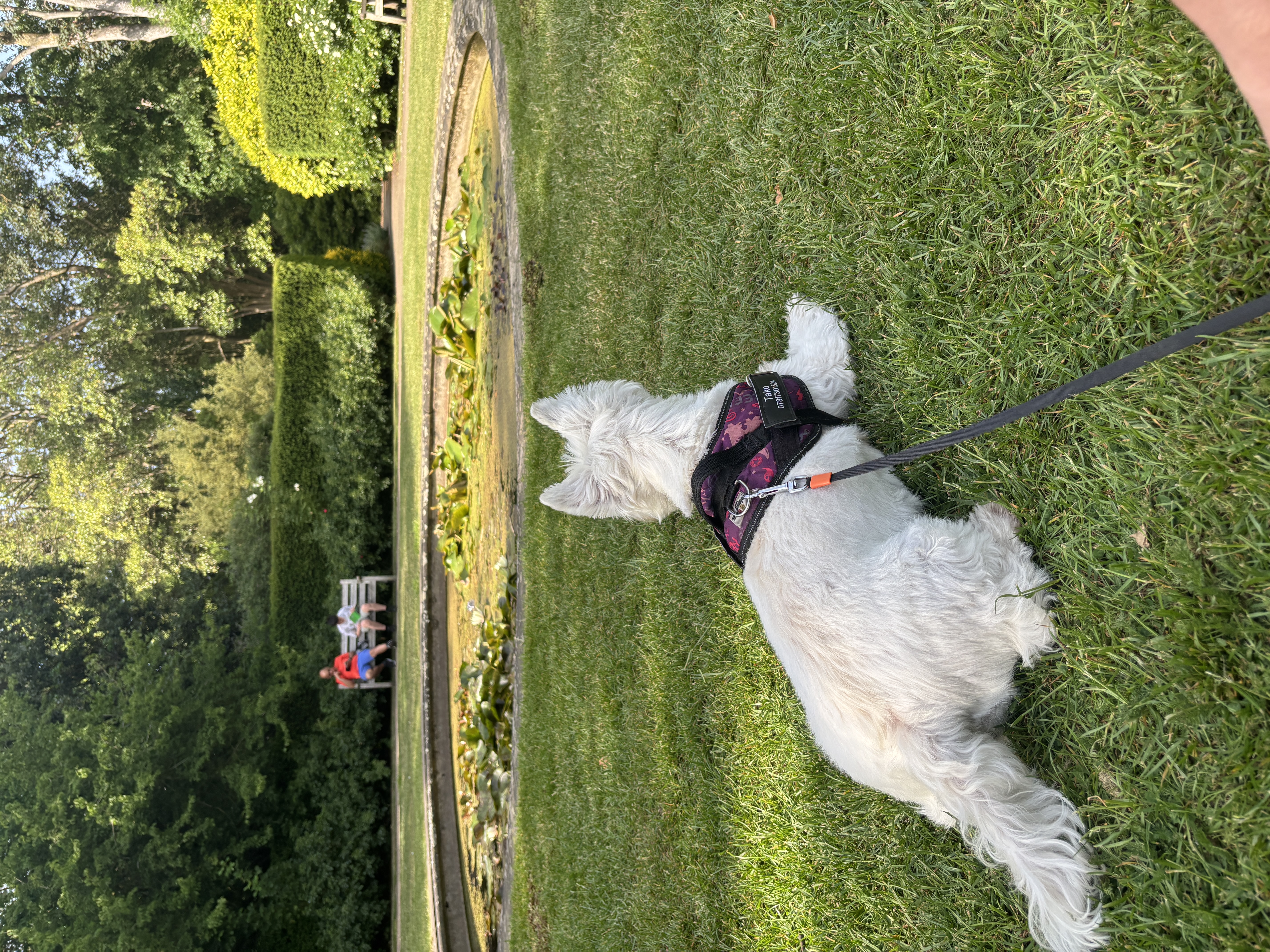 image-11