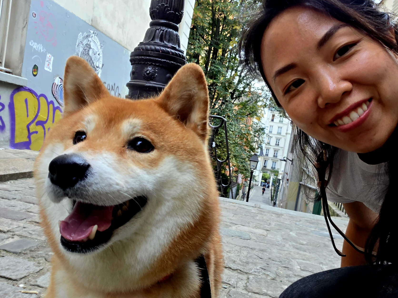 image-4