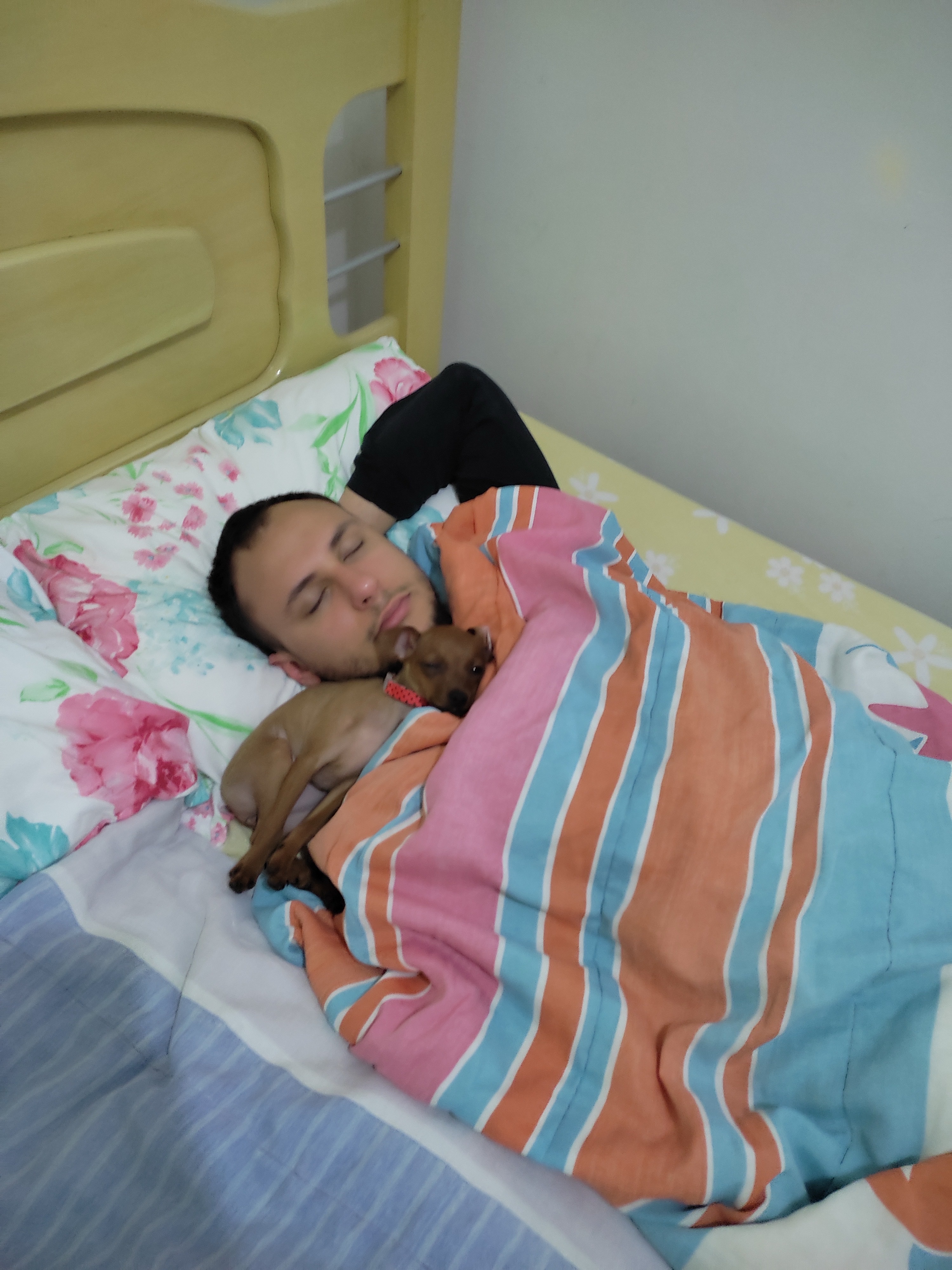 image-7