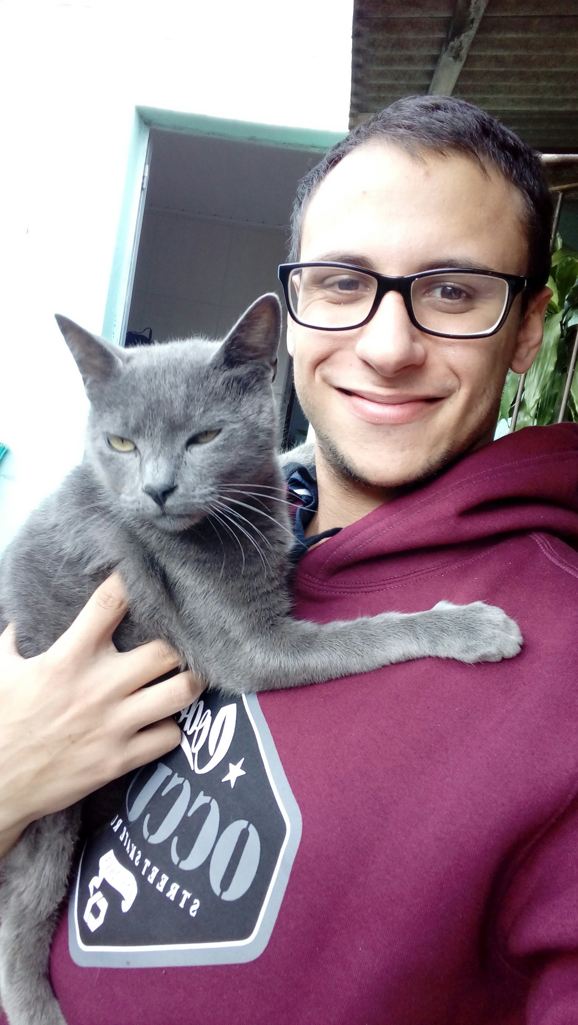 image-8