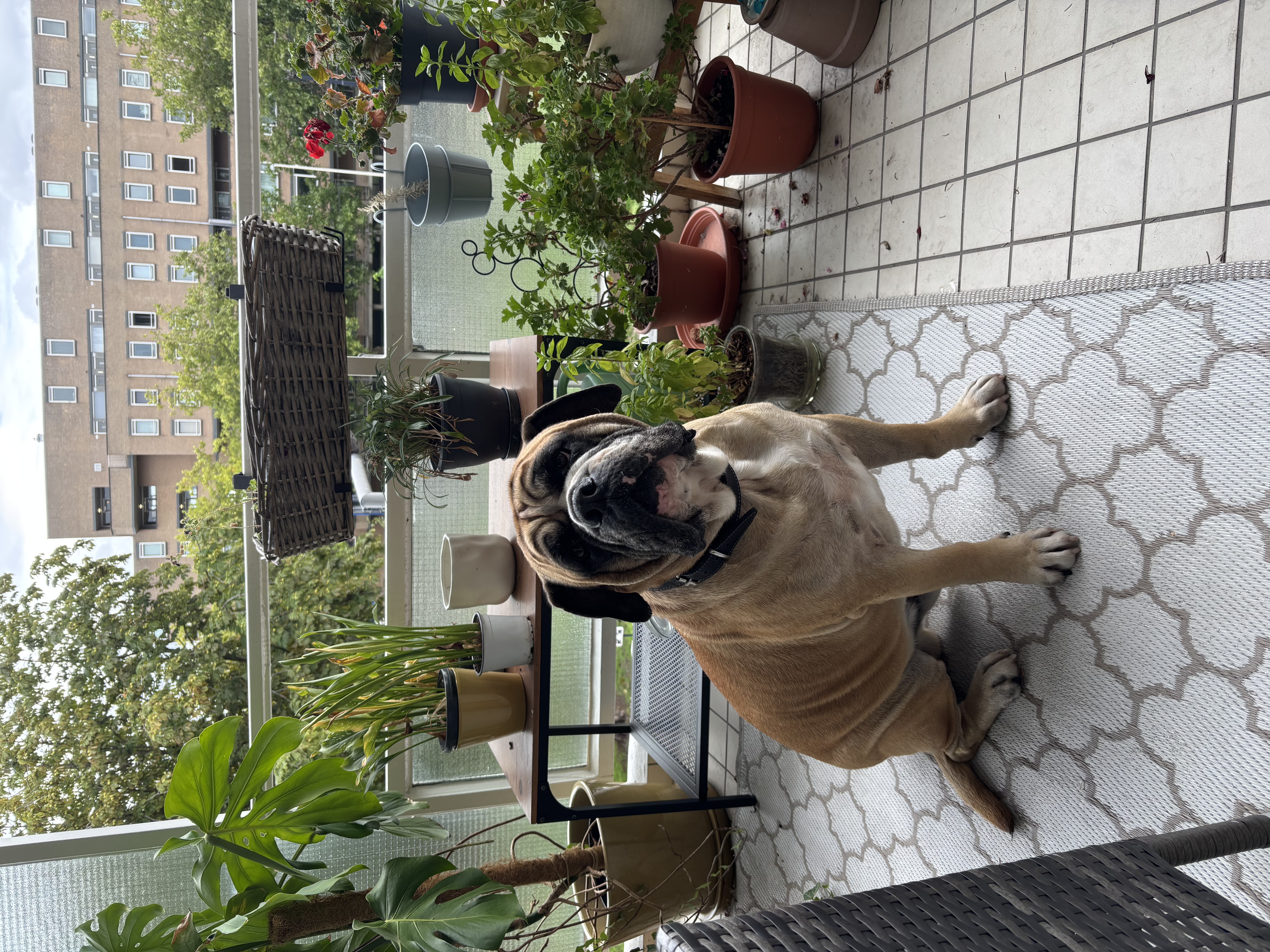image-18