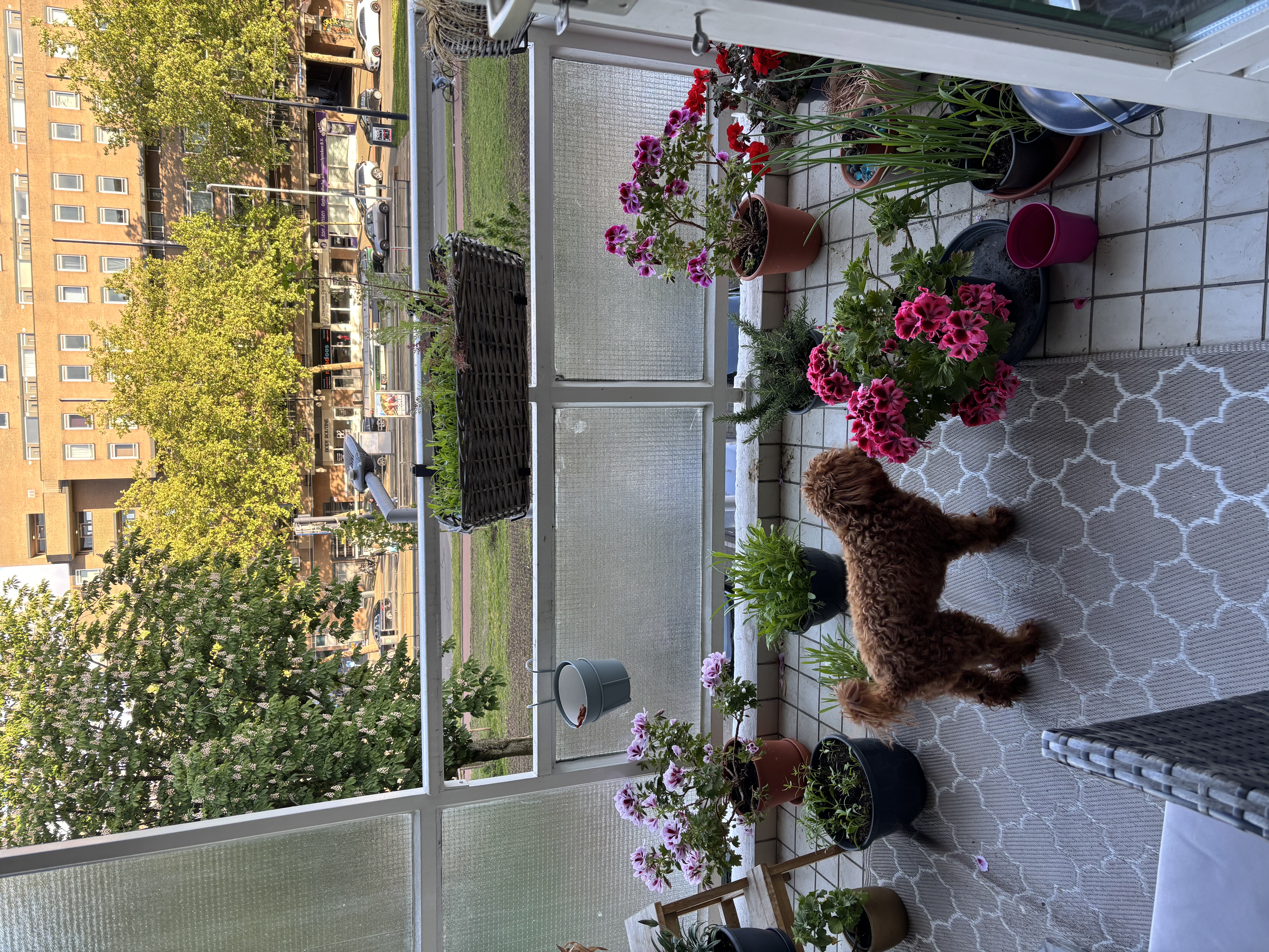 image-8