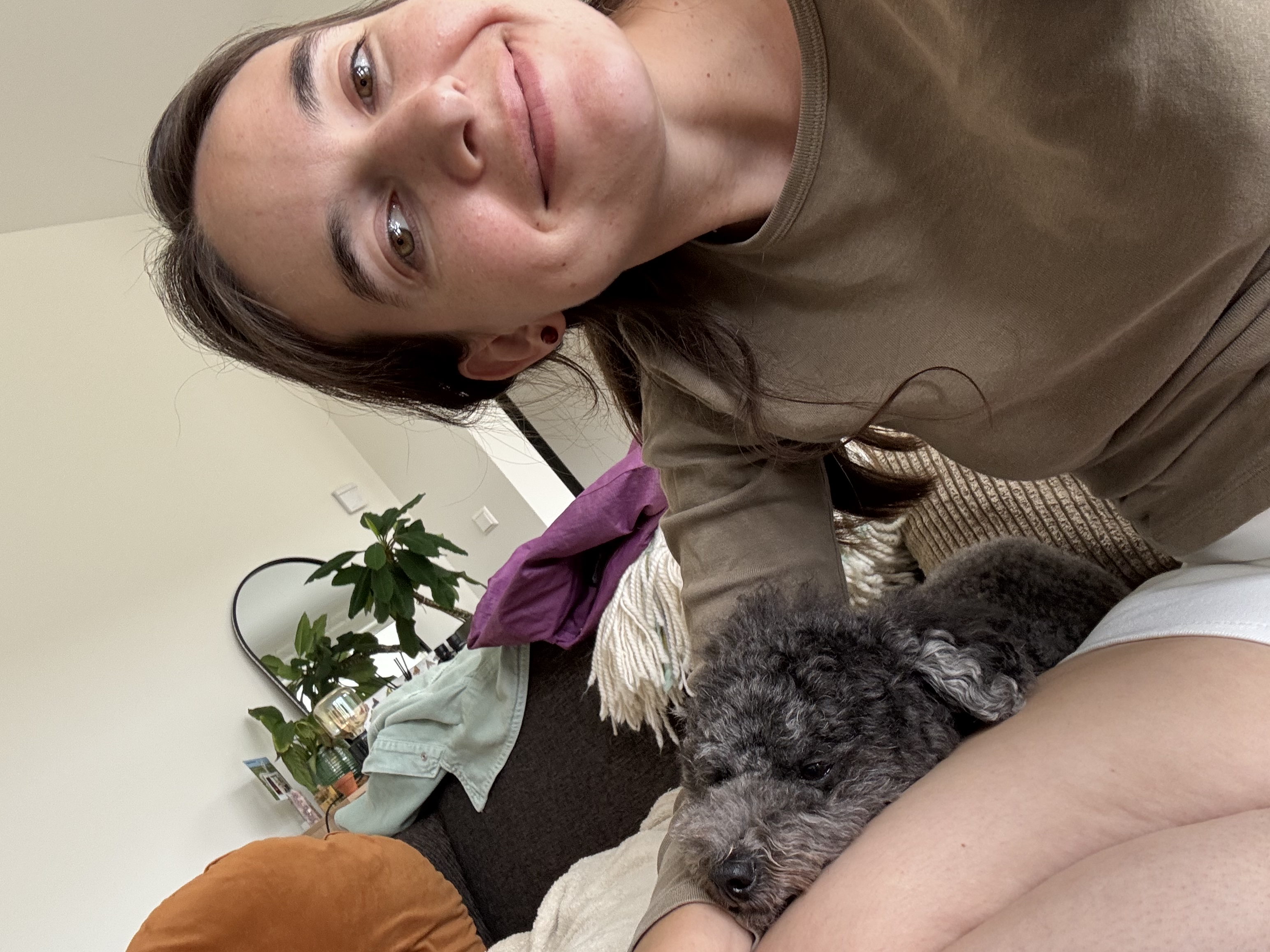image-8