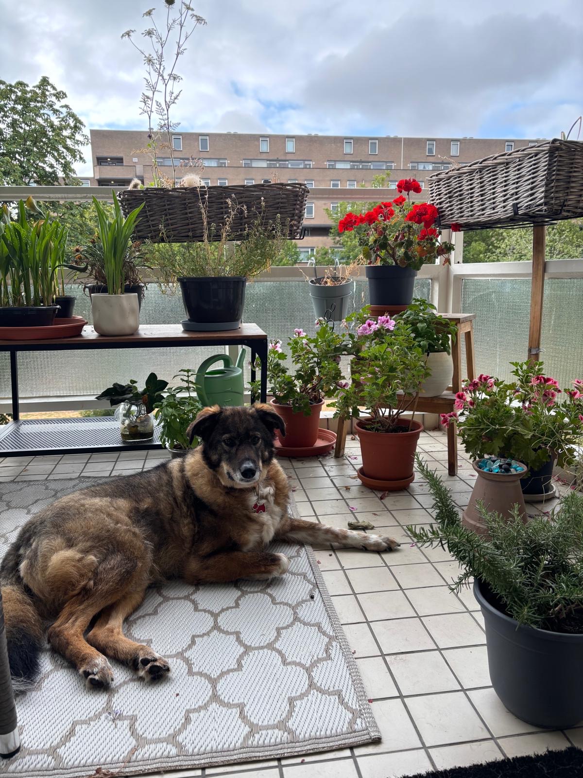image-13