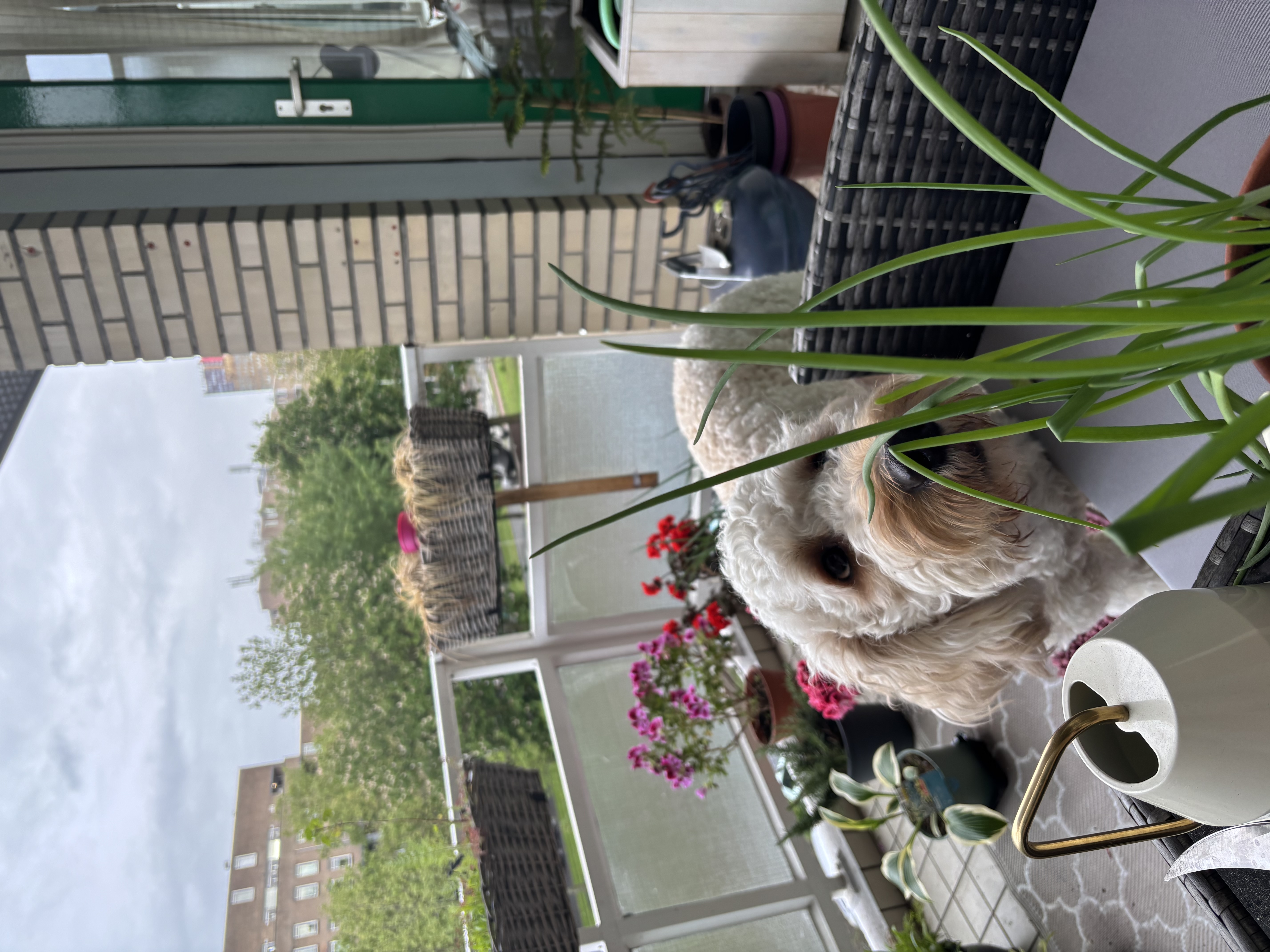 image-9