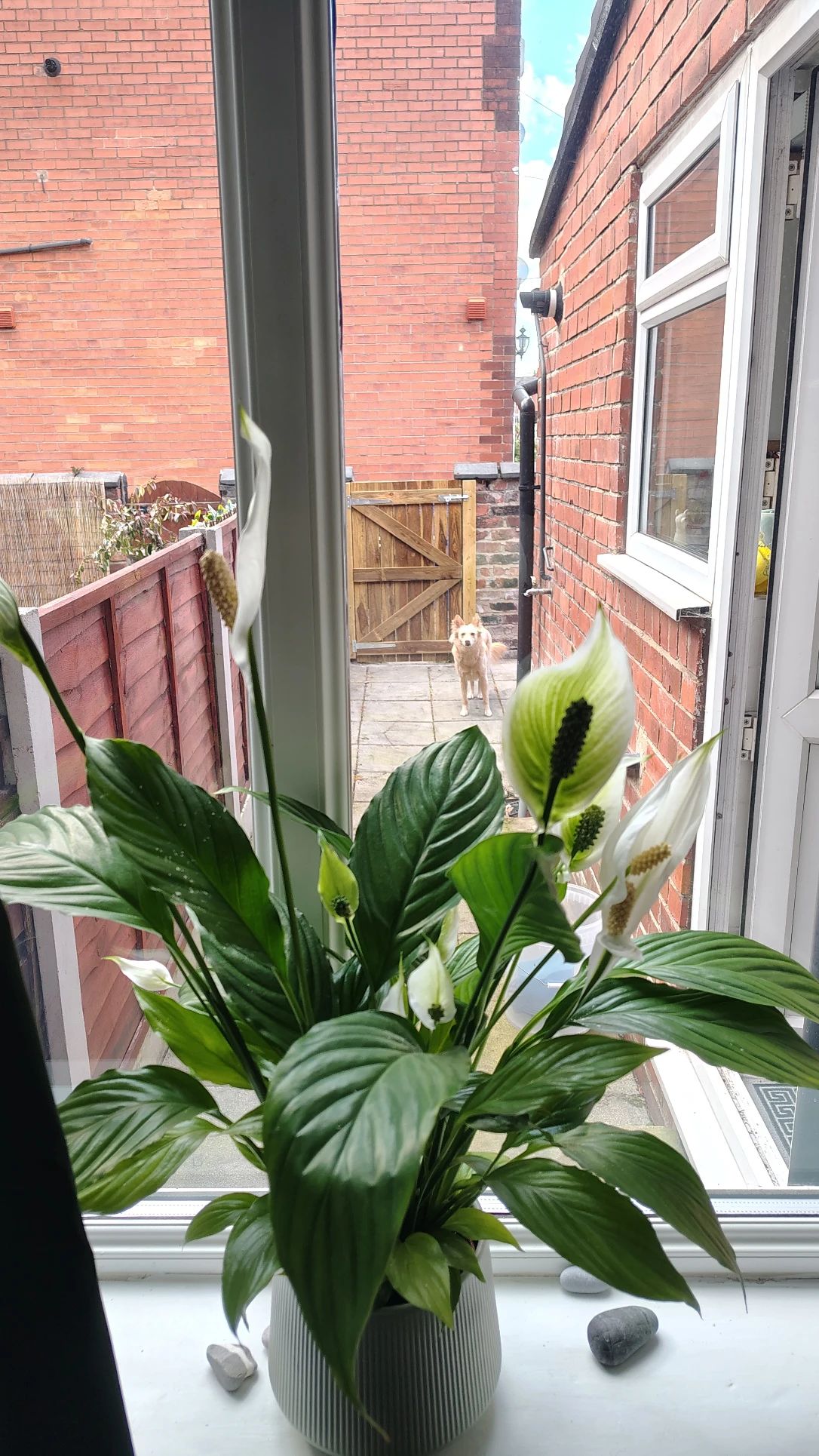 image-20