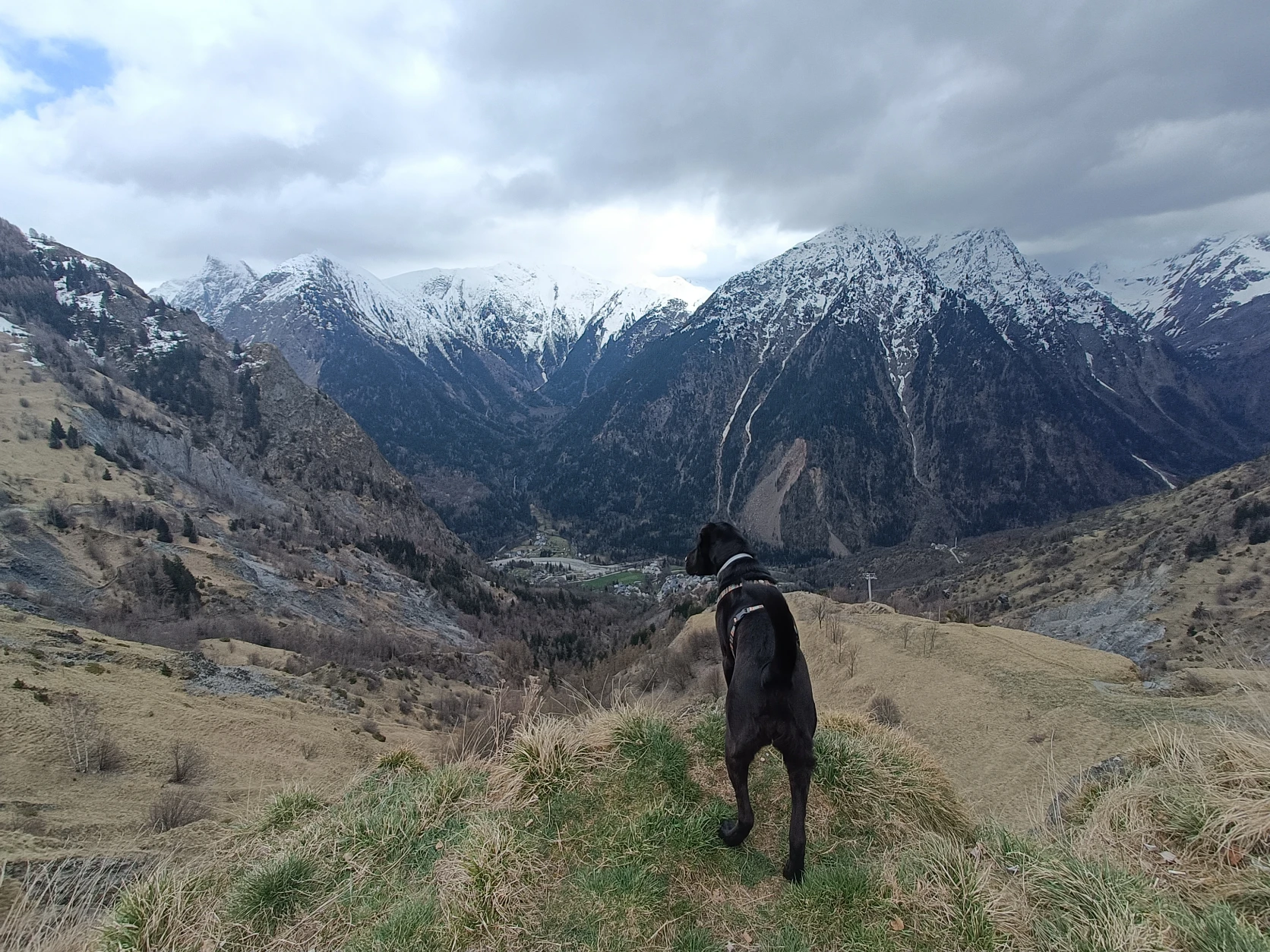 image-8