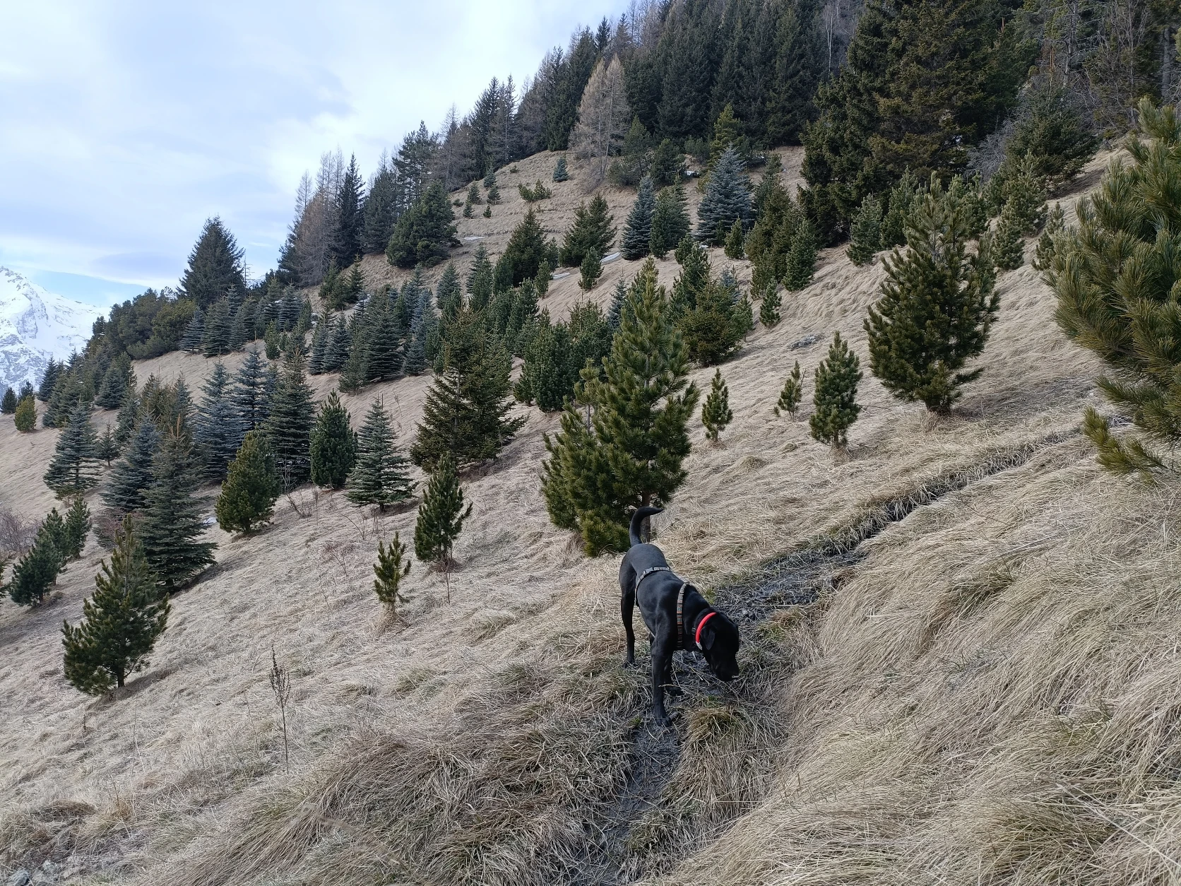 image-9