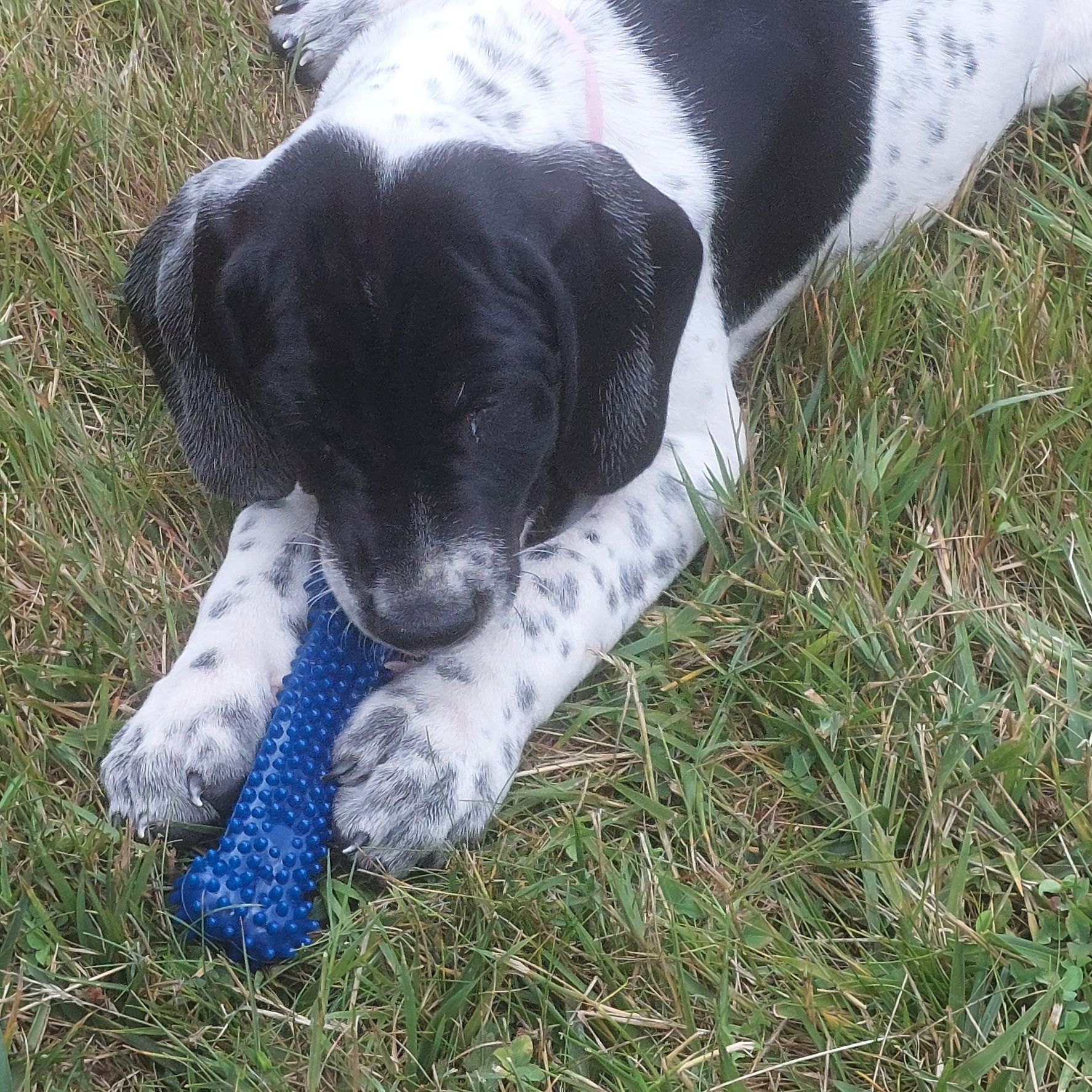 Luna