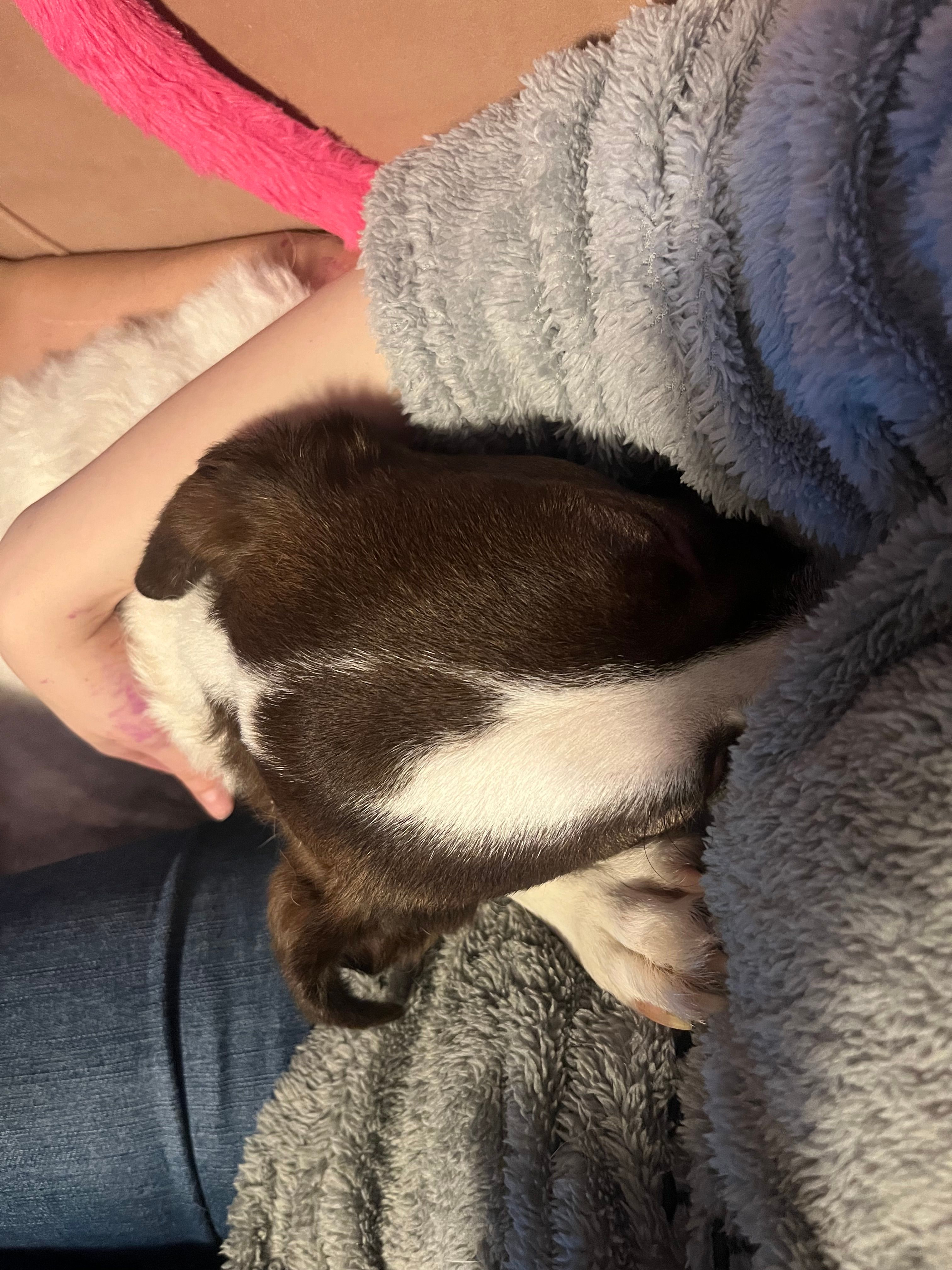 image-6