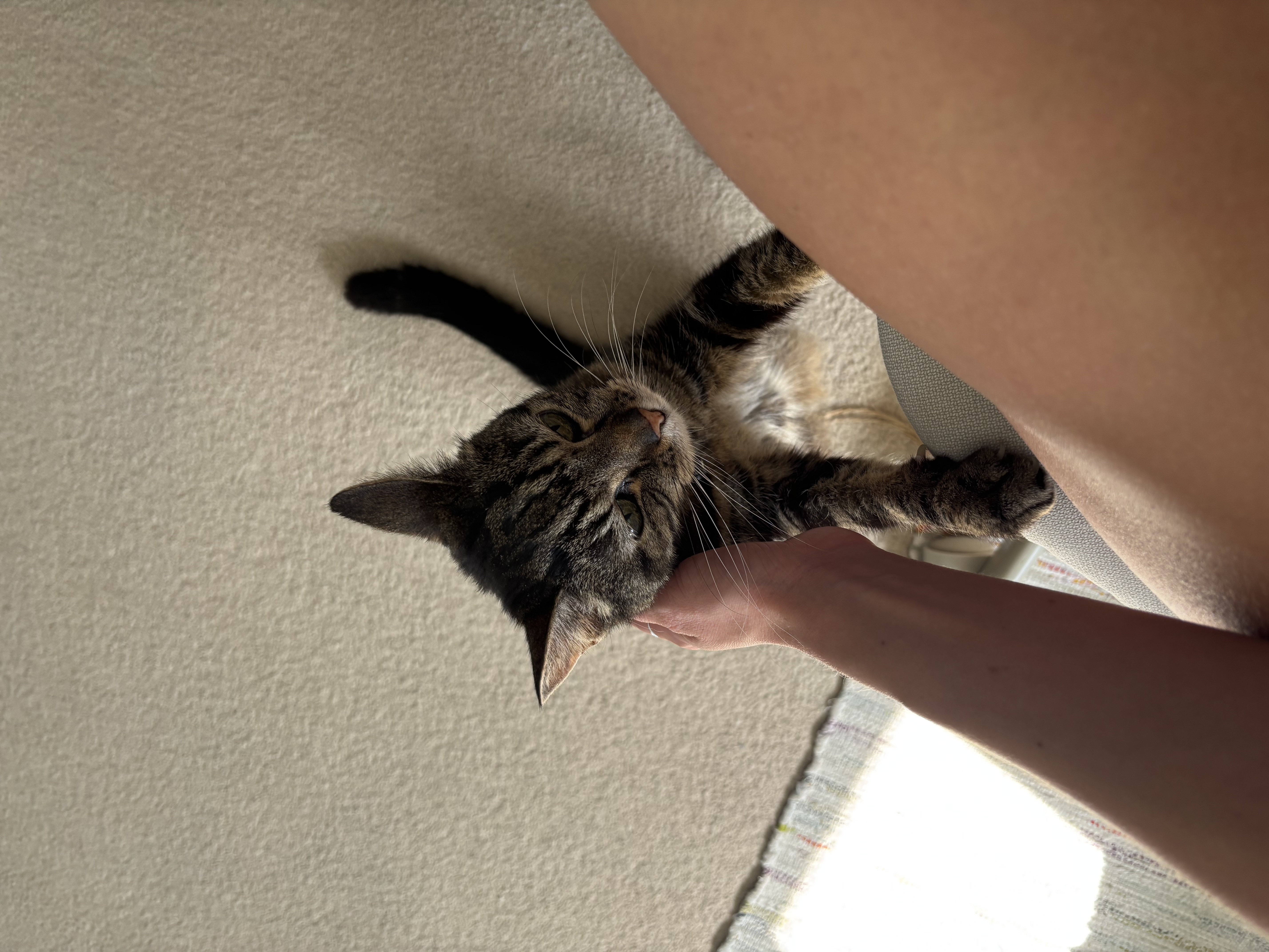 image-8