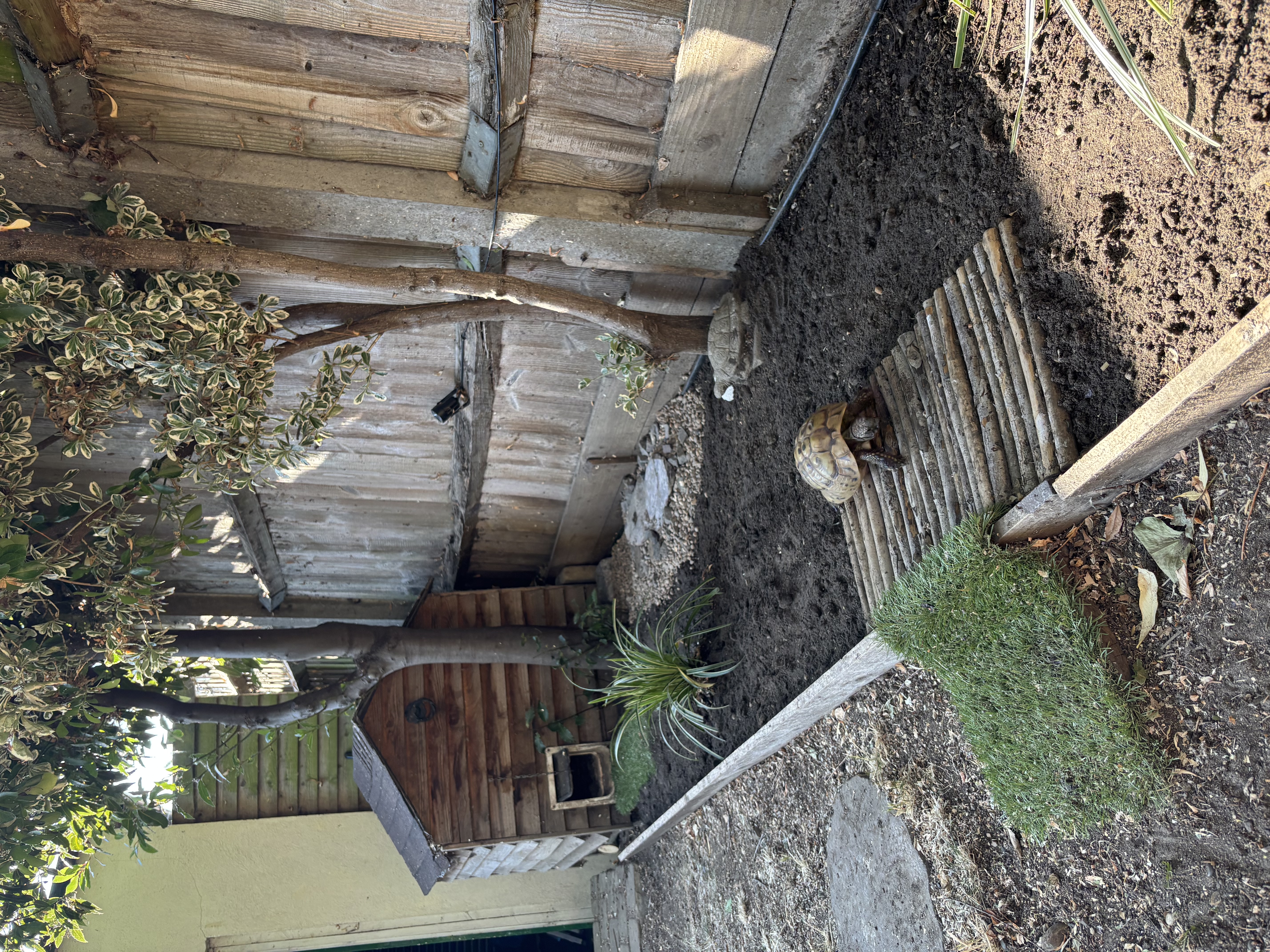 image-7