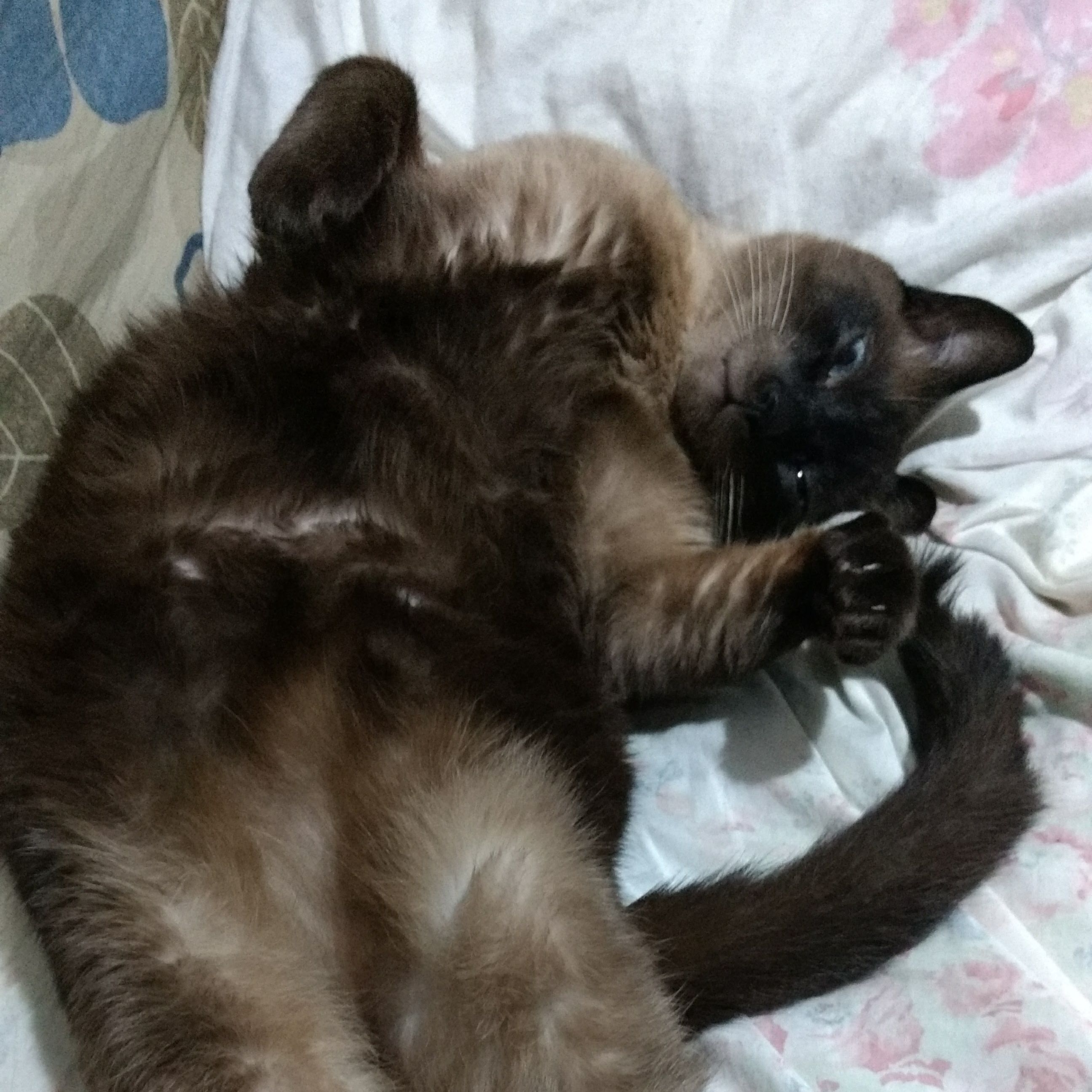Lenny