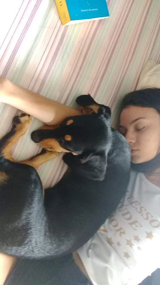 image-8