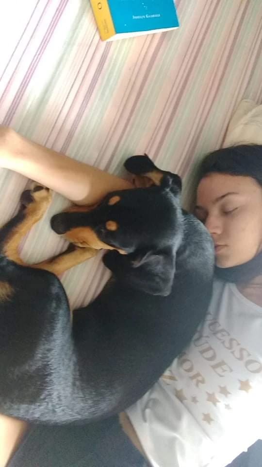 image-8