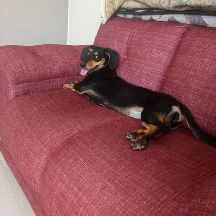 Maya