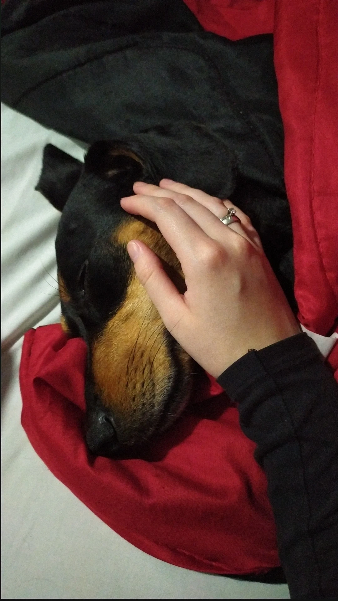 image-9