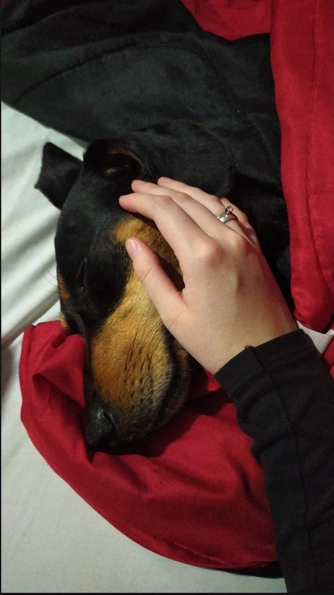 image-9