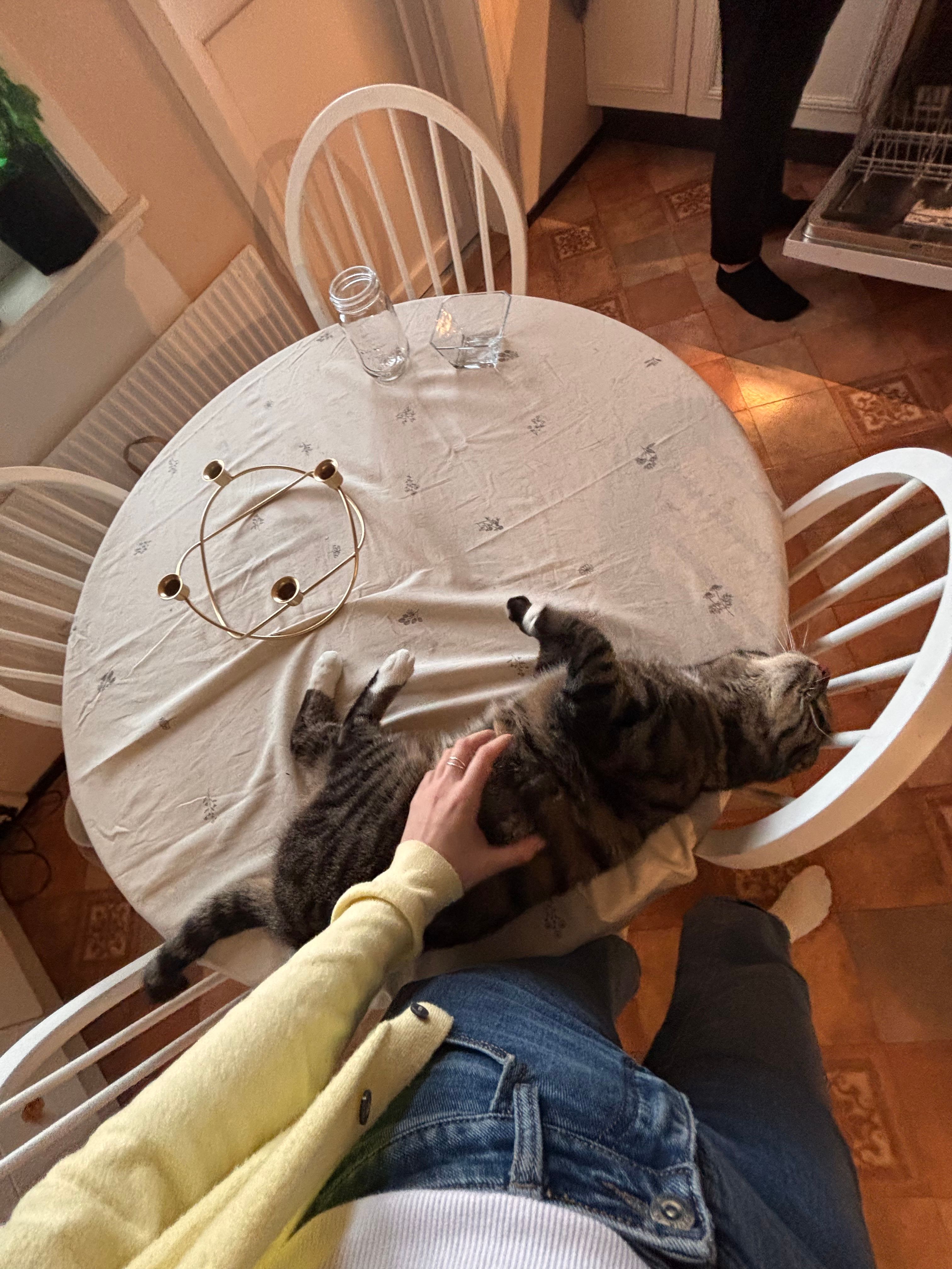 image-5