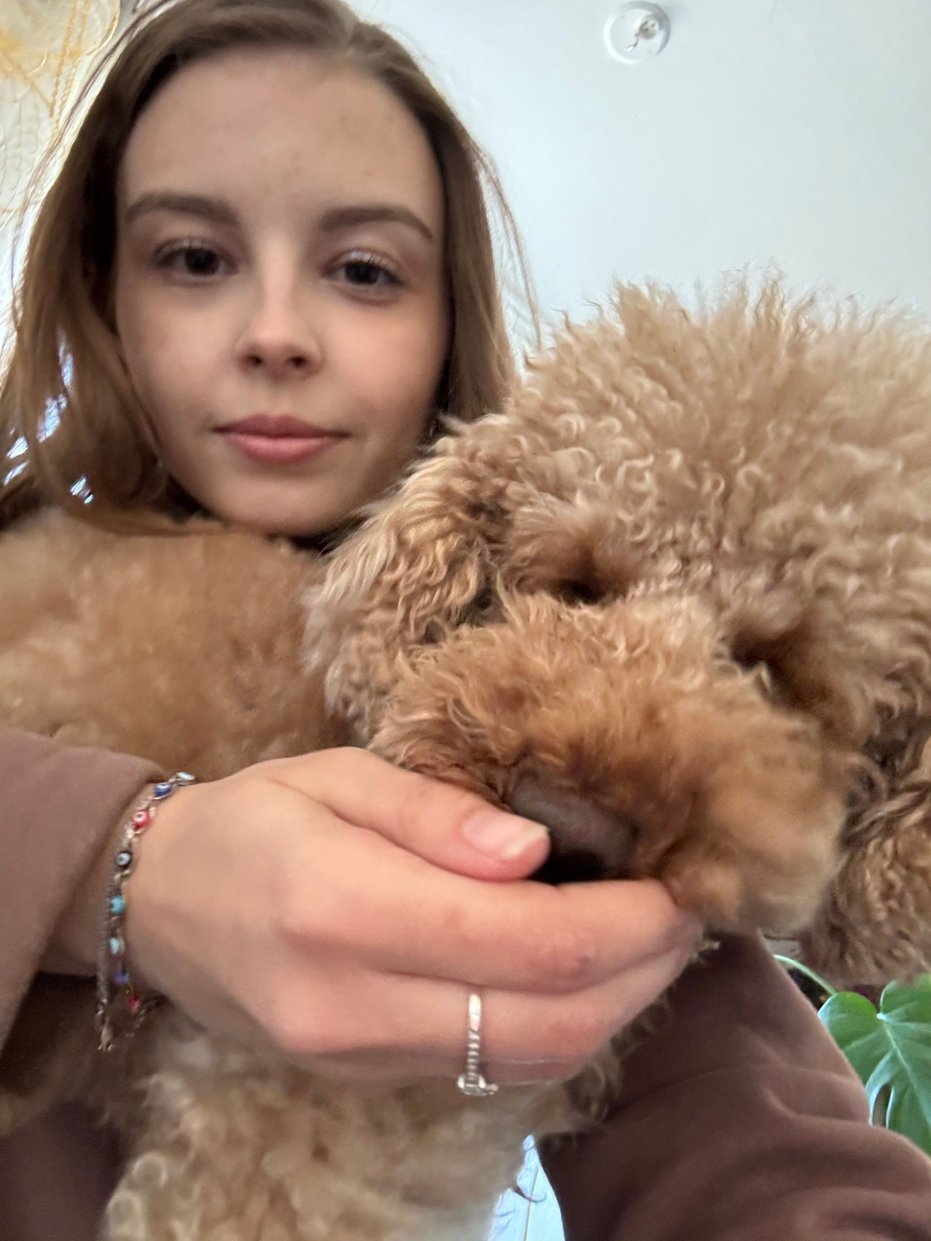 image-6