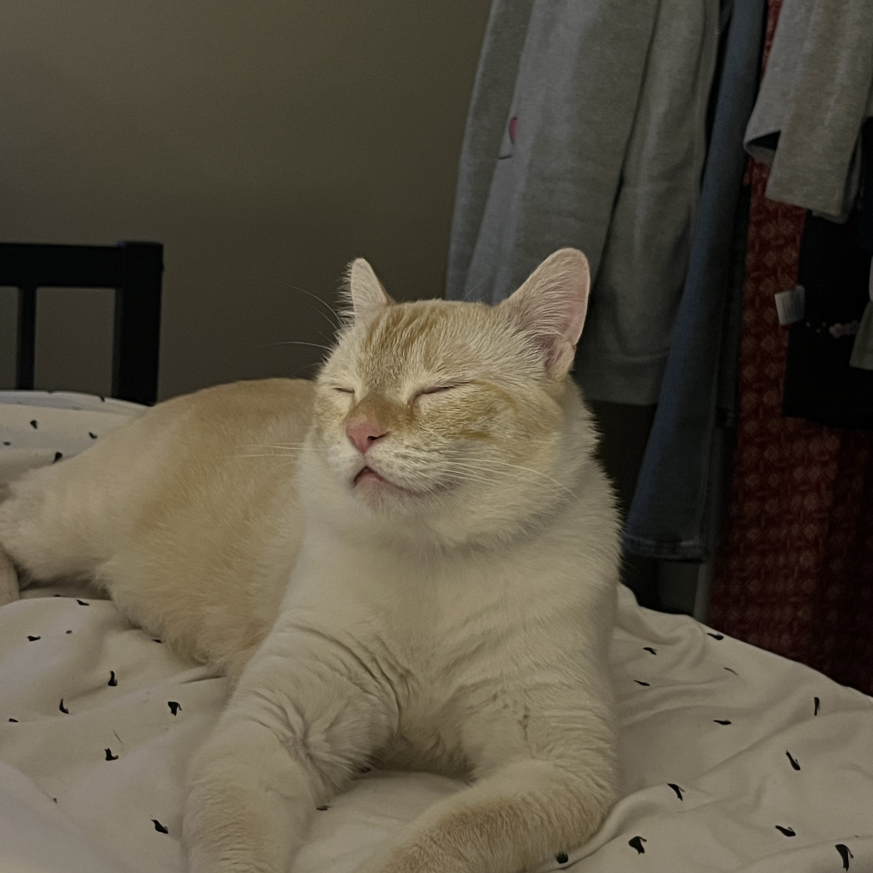Haruki