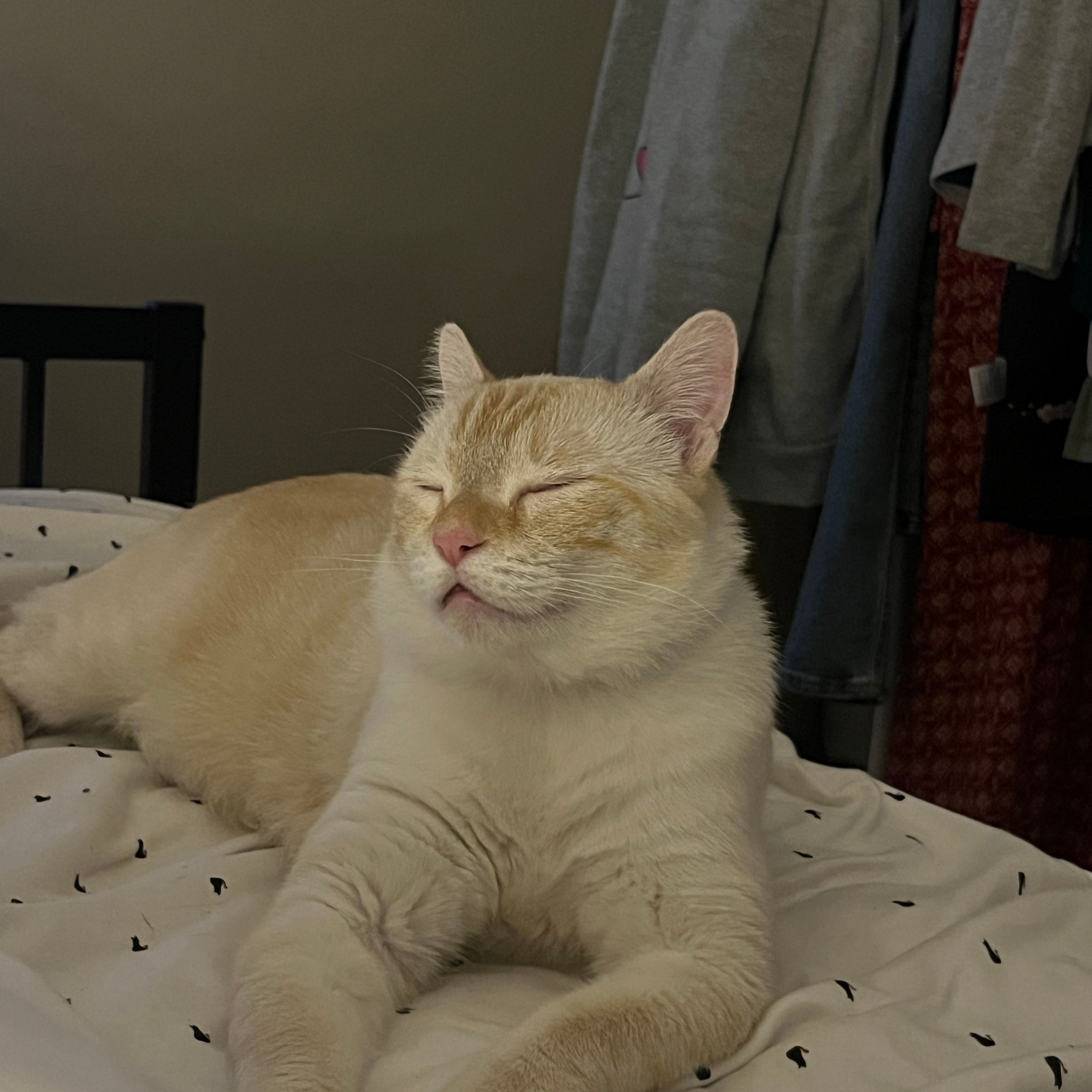 Haruki