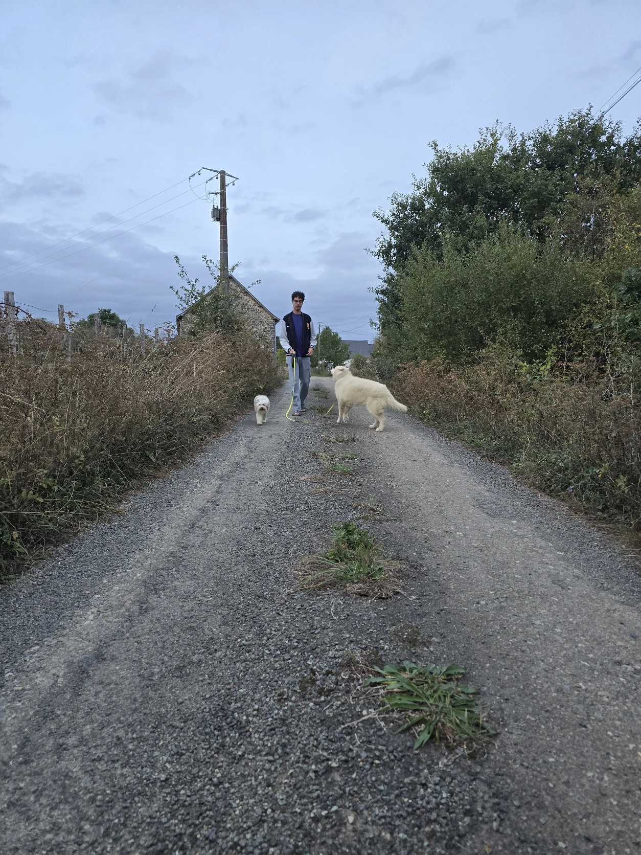 image-3