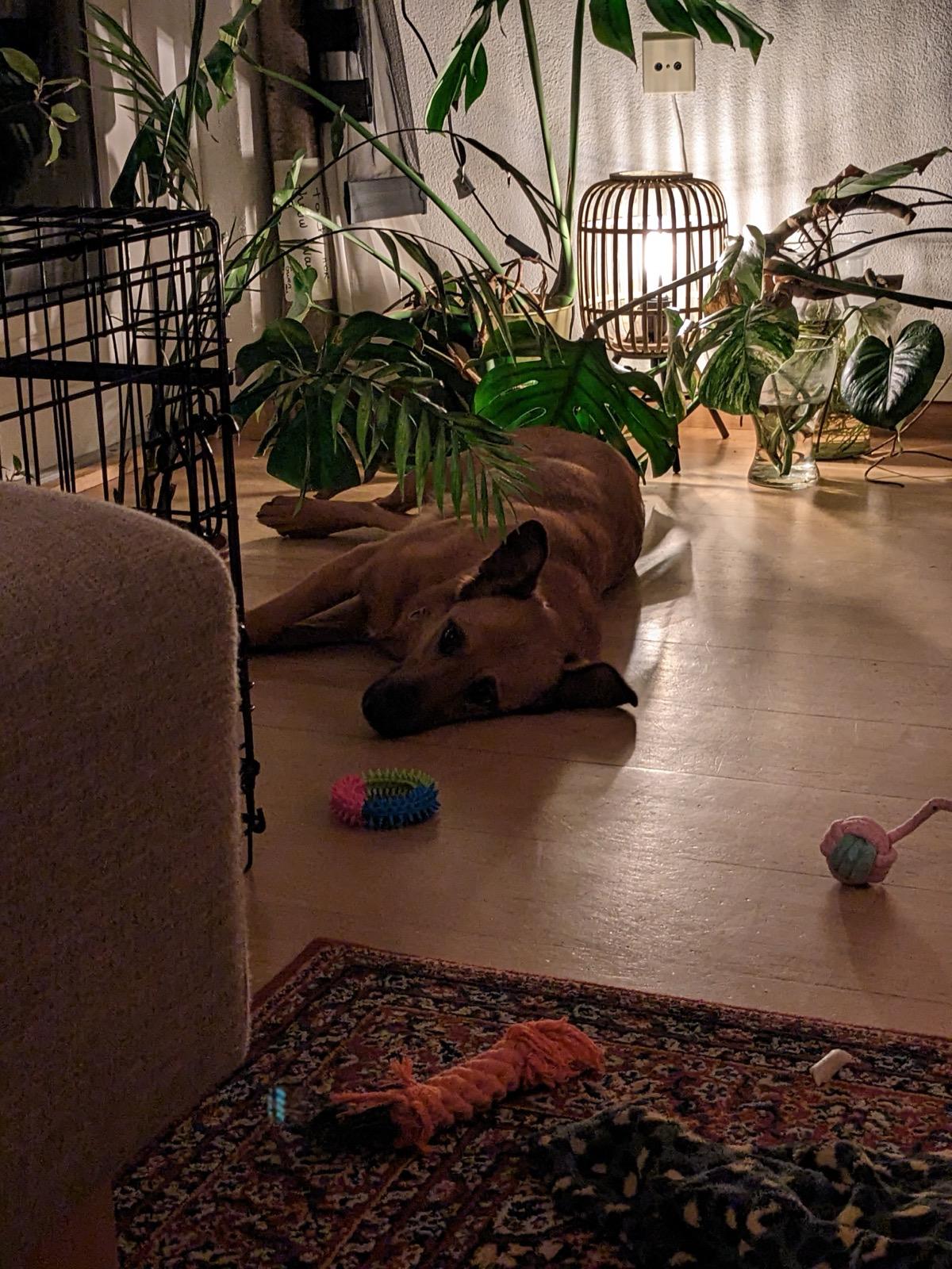 image-9