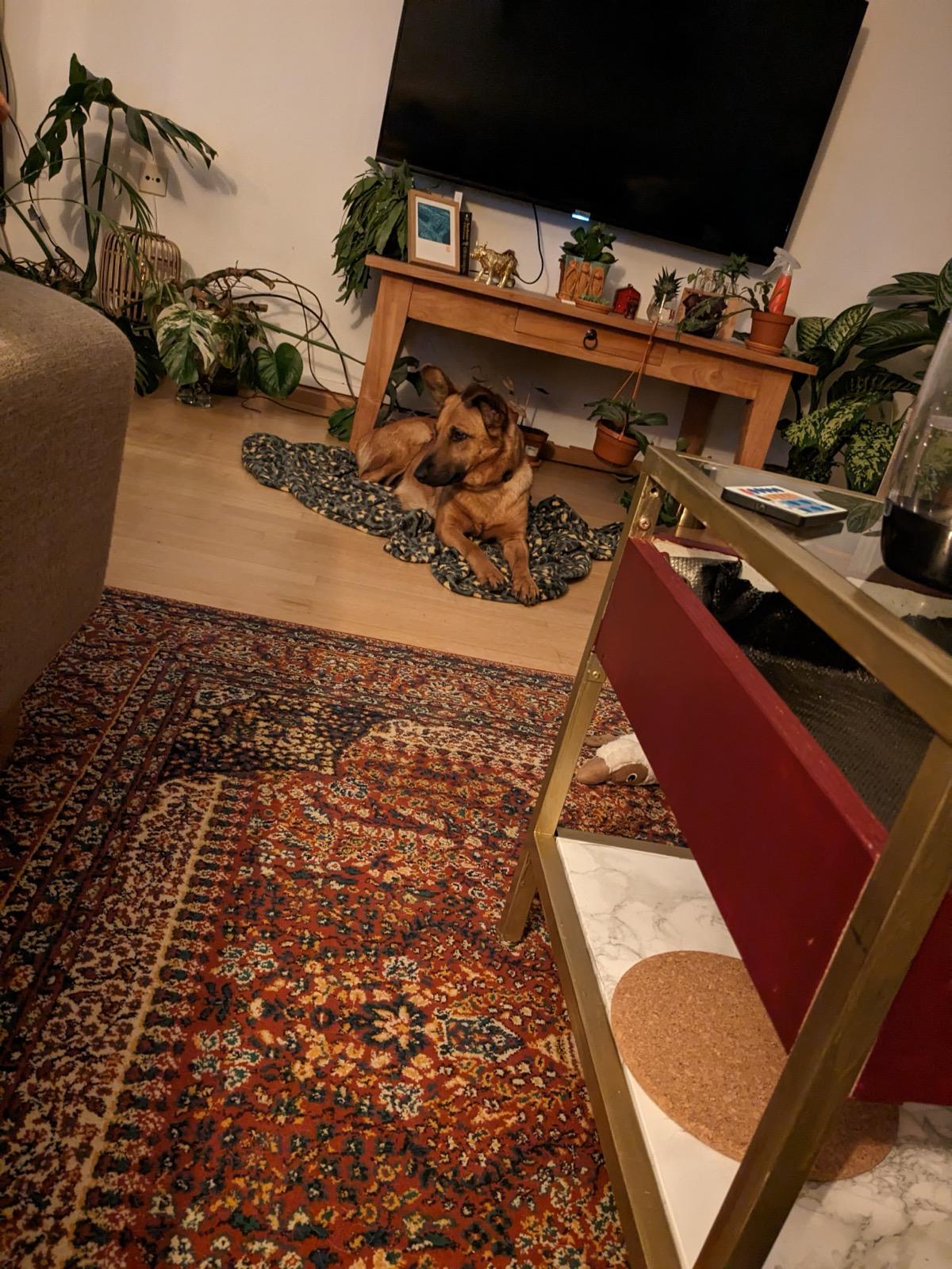 image-10