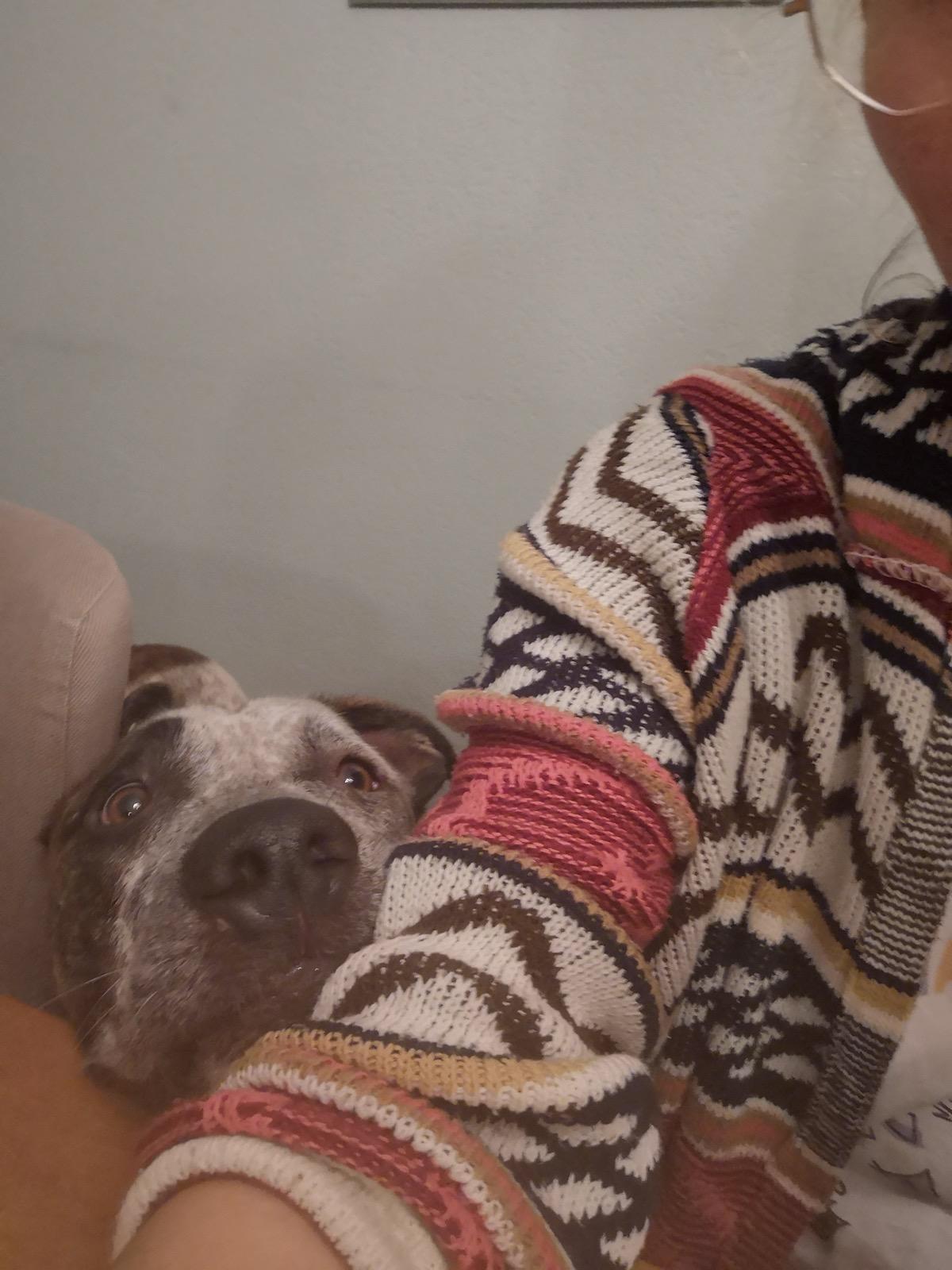 image-7