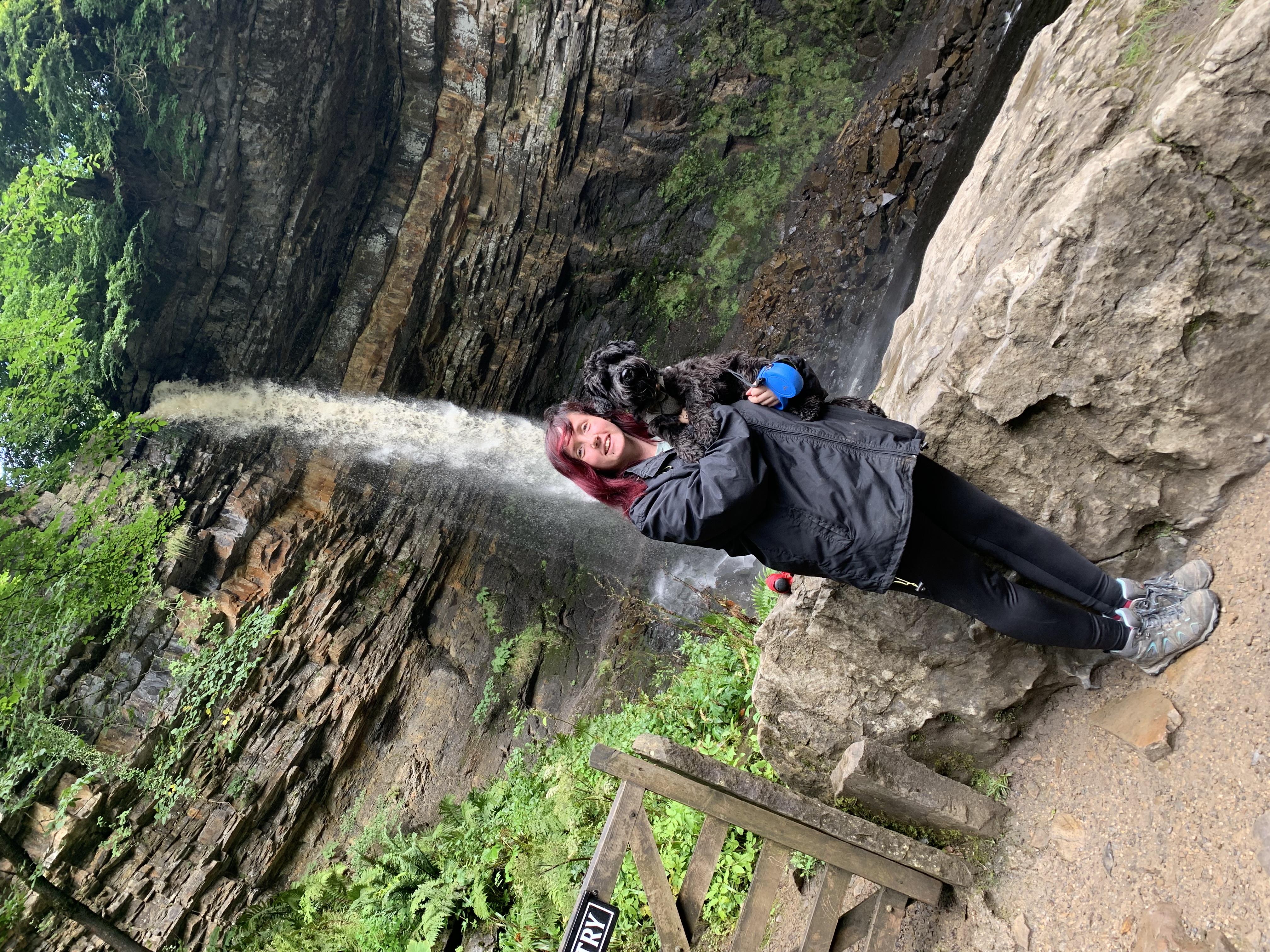image-9